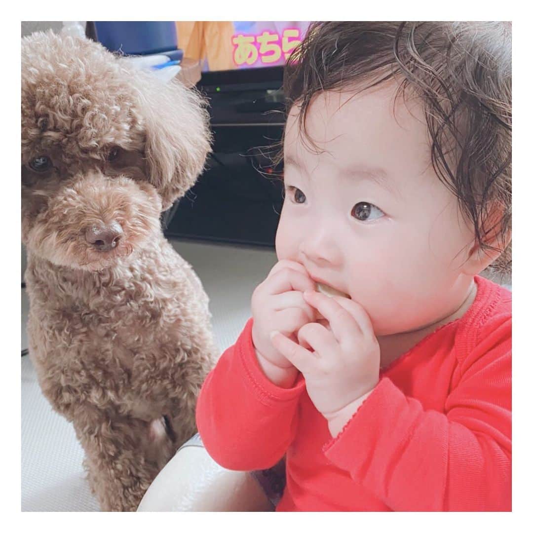 菊井彰子のインスタグラム