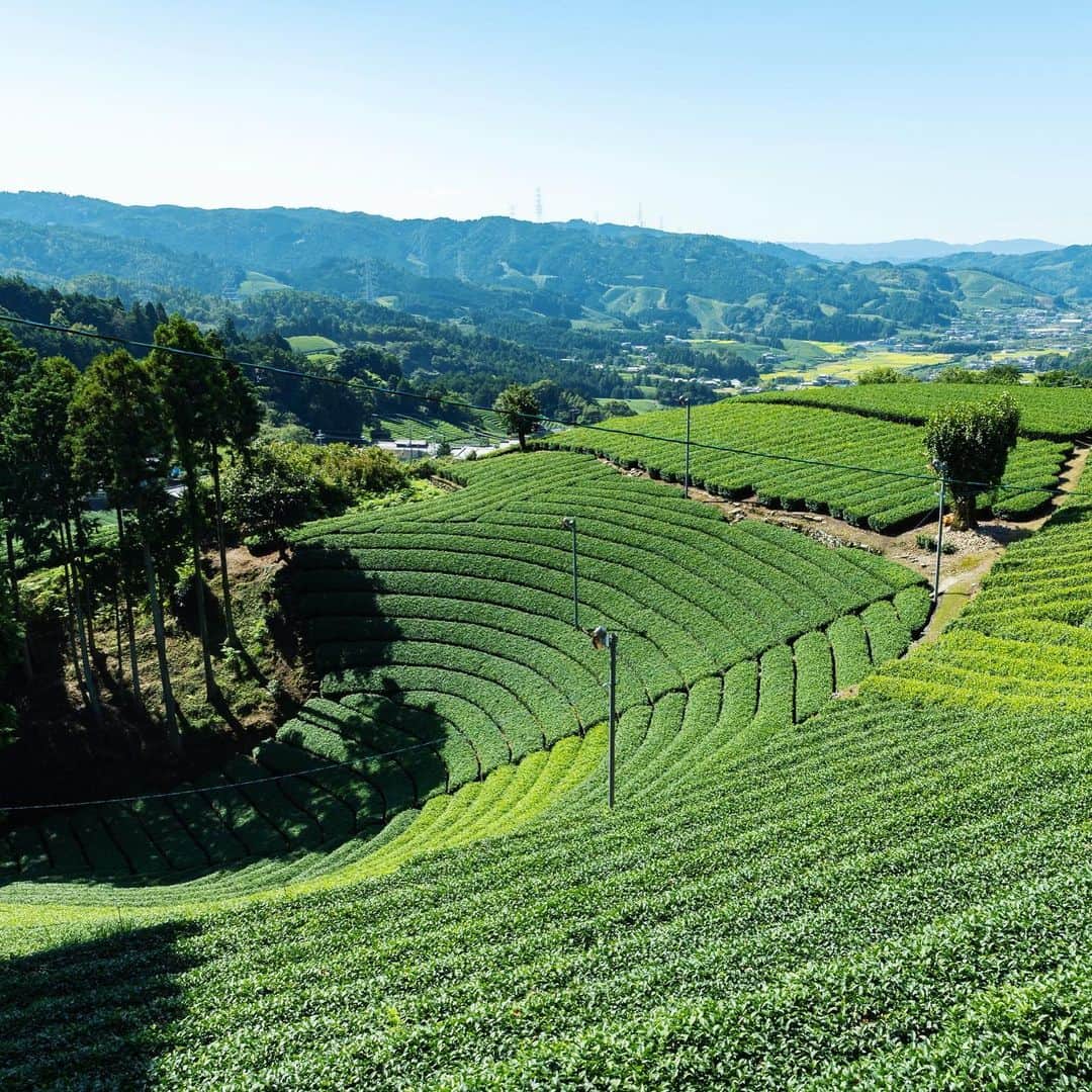 星野リゾートさんのインスタグラム写真 - (星野リゾートInstagram)「【空から宇治の絶景を眺めるヘリクルーズ】﻿ ﻿ HOSHINOYA Kyoto presents a new way to enjoy tea -- embark on an aerial adventure to witness a spectacular view of Uji Matcha tea plantations﻿ ﻿ 京都府・嵐山にある全室リバービューの旅館「星のや京都」は「京都宇治・茶畑 ヘリクルーズ」を開催します。これは飲むだけではない、新しいお茶の楽しみ方を提案するアクティビティです。﻿ ﻿ 参加者は、京都府南部・山城地域に広がる新緑の宇治茶の茶畑をヘリコプターで空から眺め、山肌に沿って茶畑が一面に広がる景色を楽しみます。その後、3種のひとくち茶漬けを茶畑の真ん中で味わいます。このお茶漬けは、宇治の窯元が手掛けた特製の茶漬け碗と、宇治の茶舗(ちゃほ)が厳選したお茶を使用したものです。﻿ ﻿ #HoshinoResorts #星野リゾート #hoshinoya #星のや #hoshinoyaKyoto #星のや京都  #Kyoto #Arashiyama #京都 #京都府 #嵐山 #京都旅行 #KyotoTrip #Kyotohotel  #luxuryresort #JapaneseHotels #travelJapan #ig_Japan  #JapanTravel」4月13日 16時11分 - hoshinoresorts.official