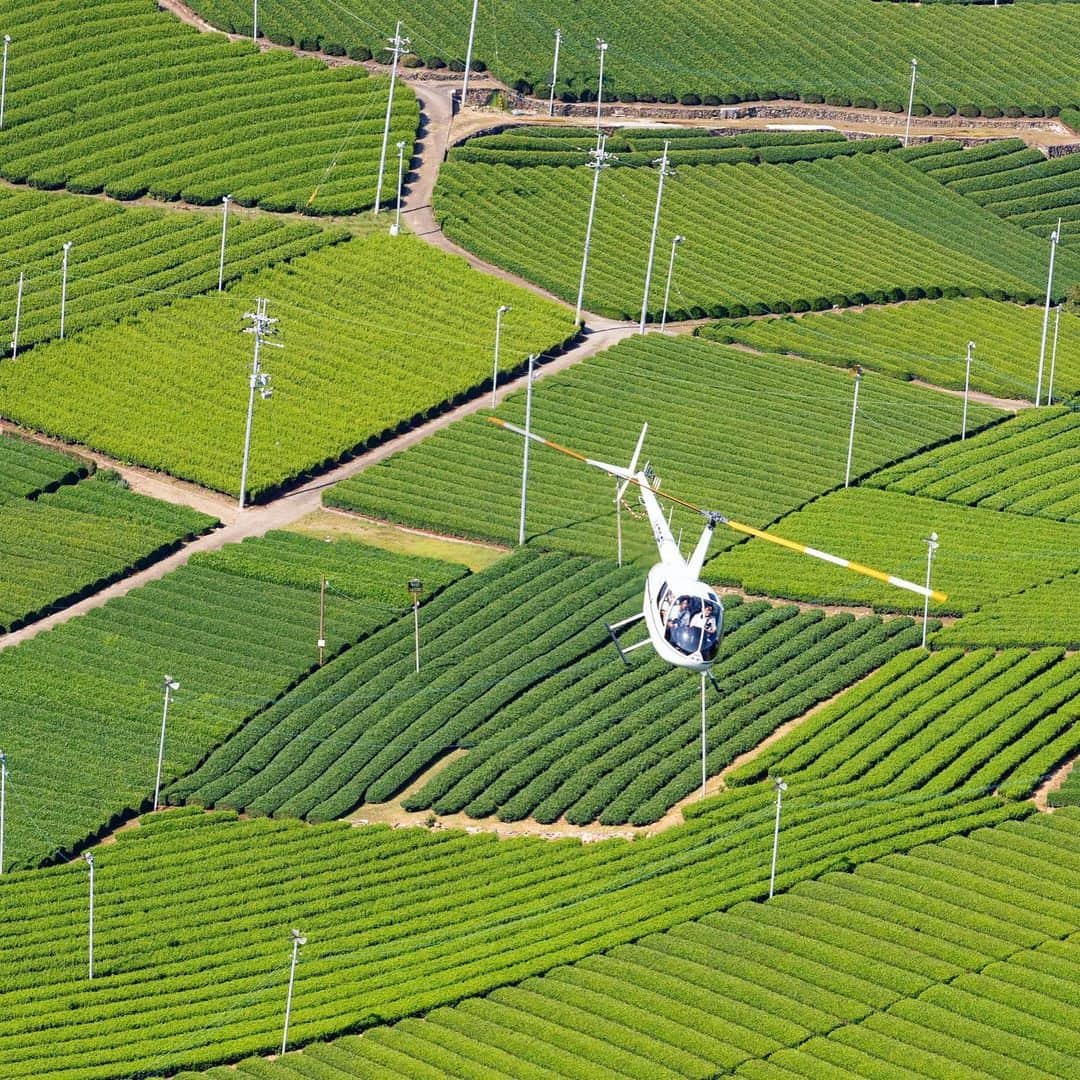 星野リゾートのグルメインスタ