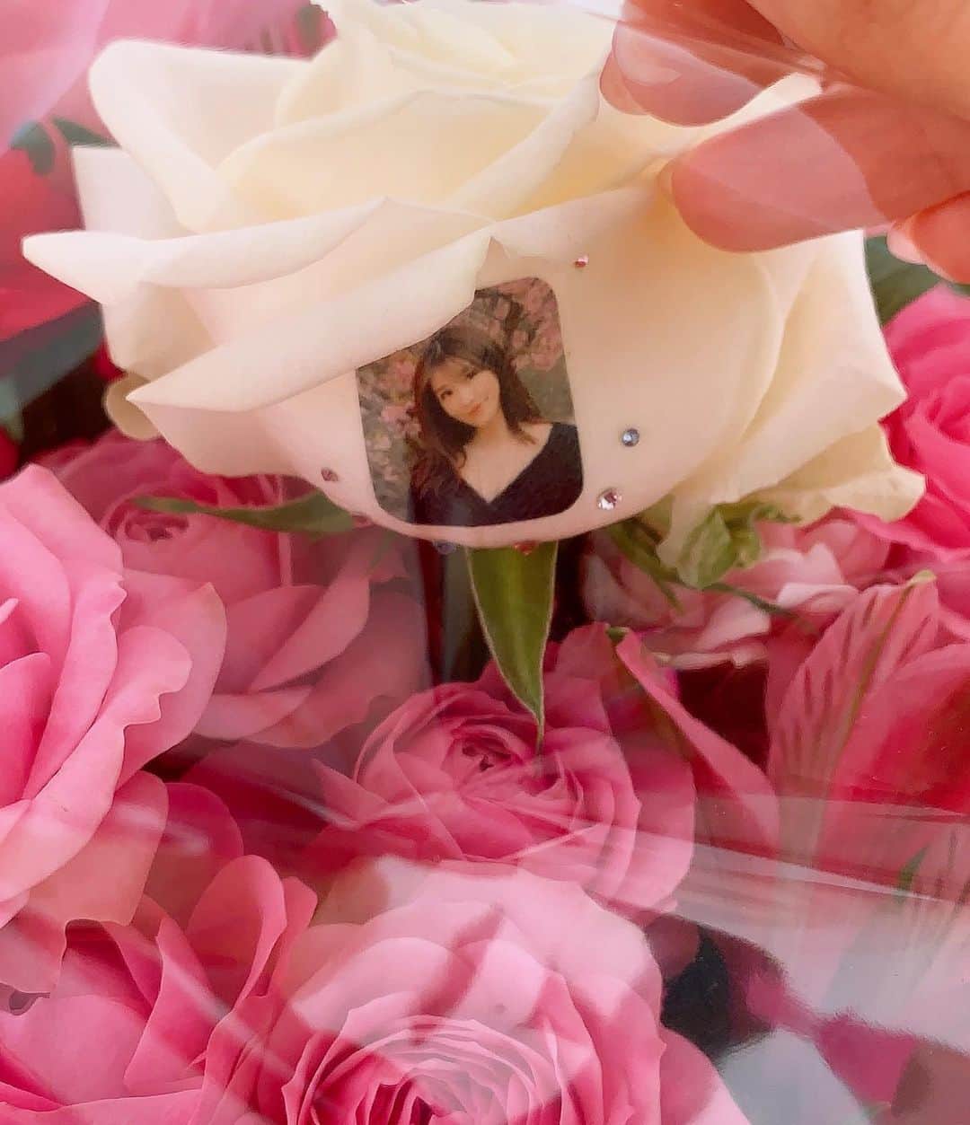 葉加瀬マイさんのインスタグラム写真 - (葉加瀬マイInstagram)「薔薇の花に私の写真とストーンが🌹💎❤️とっても綺麗☺️💓 #rose #薔薇　 #コロナに負けるな #おうち時間」4月13日 16時24分 - m.hakase