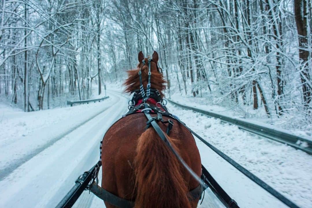 National Geographic Travelさんのインスタグラム写真 - (National Geographic TravelInstagram)「Photo by @joshuacogan | I recently spent some time living near the Pennsylvania Dutch Amish community. Every once in a while I would get lucky enough to get a ride home in a horse-drawn carriage, which was far more fun than hiking through the snow. To see more explorations of culture, ecology, and the human landscape follow @joshuacogan.」4月13日 17時08分 - natgeotravel