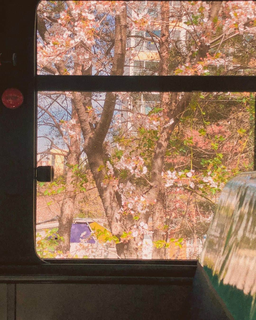 キム・ナヒさんのインスタグラム写真 - (キム・ナヒInstagram)「버스에서 마주친 예쁜 순간들」4月13日 17時10分 - knhs2
