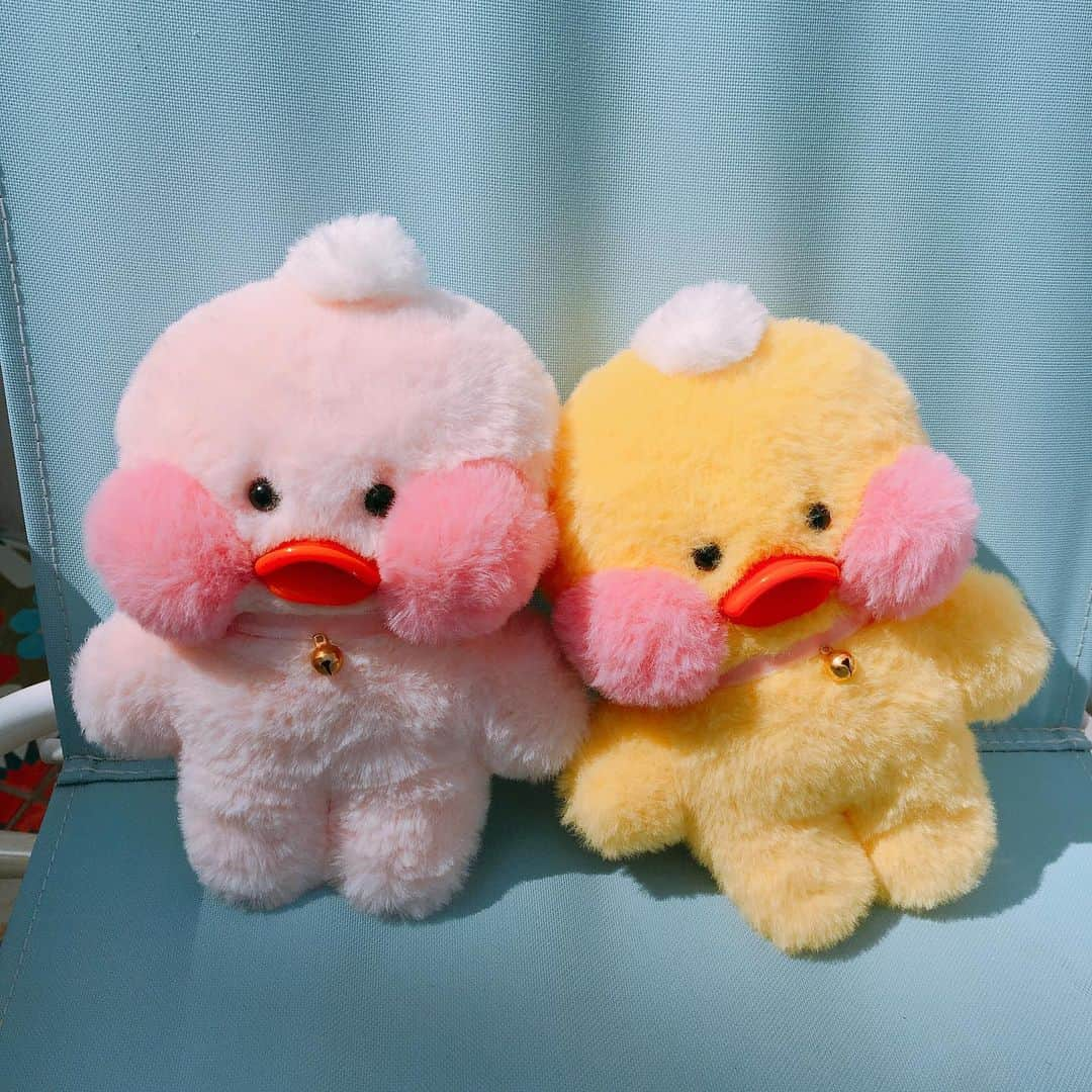 Chuuさんのインスタグラム写真 - (ChuuInstagram)「빵빵츄 23차 분양중입니당❤️🐥」4月13日 17時44分 - chuu_official