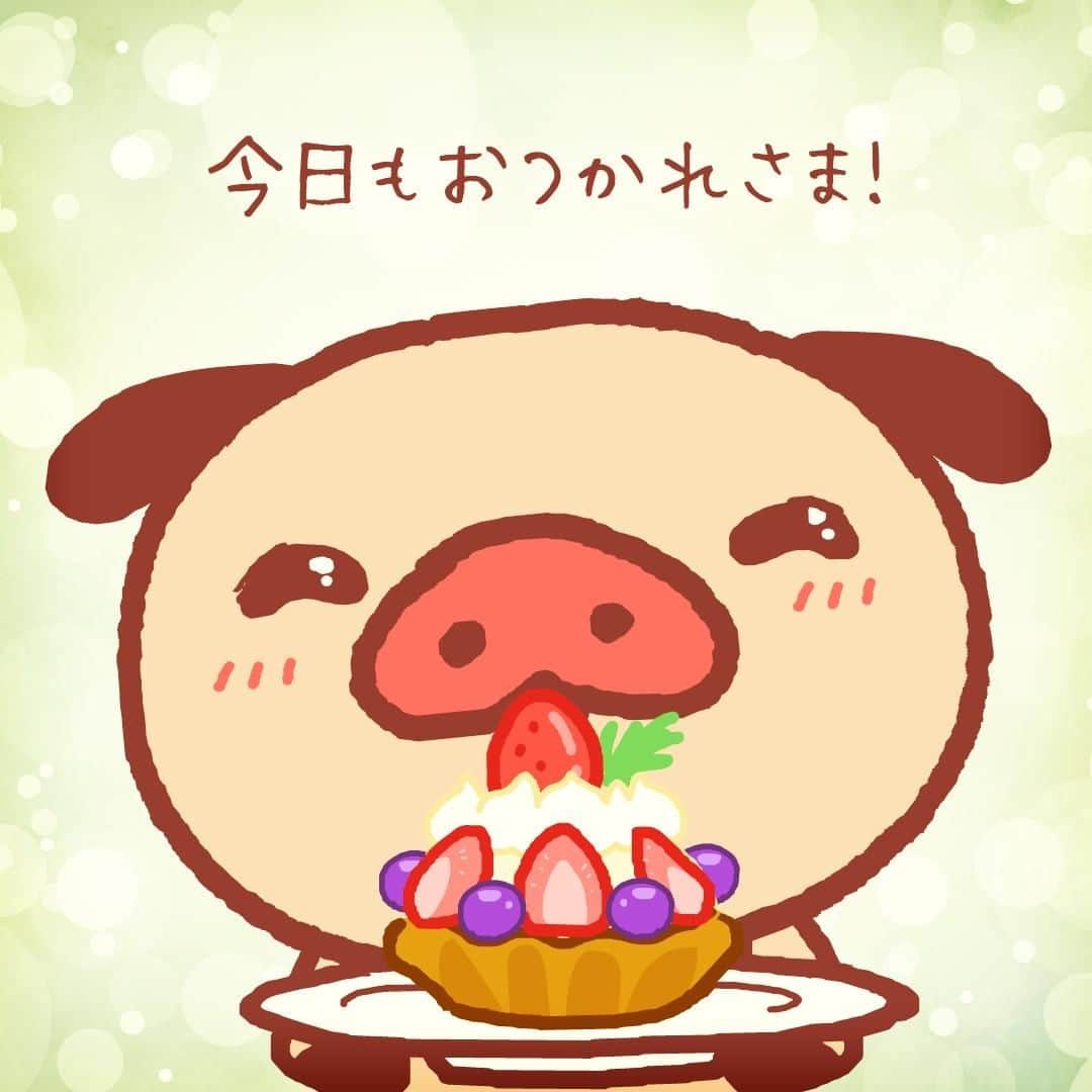 パンパカパンツ公式のインスタグラム