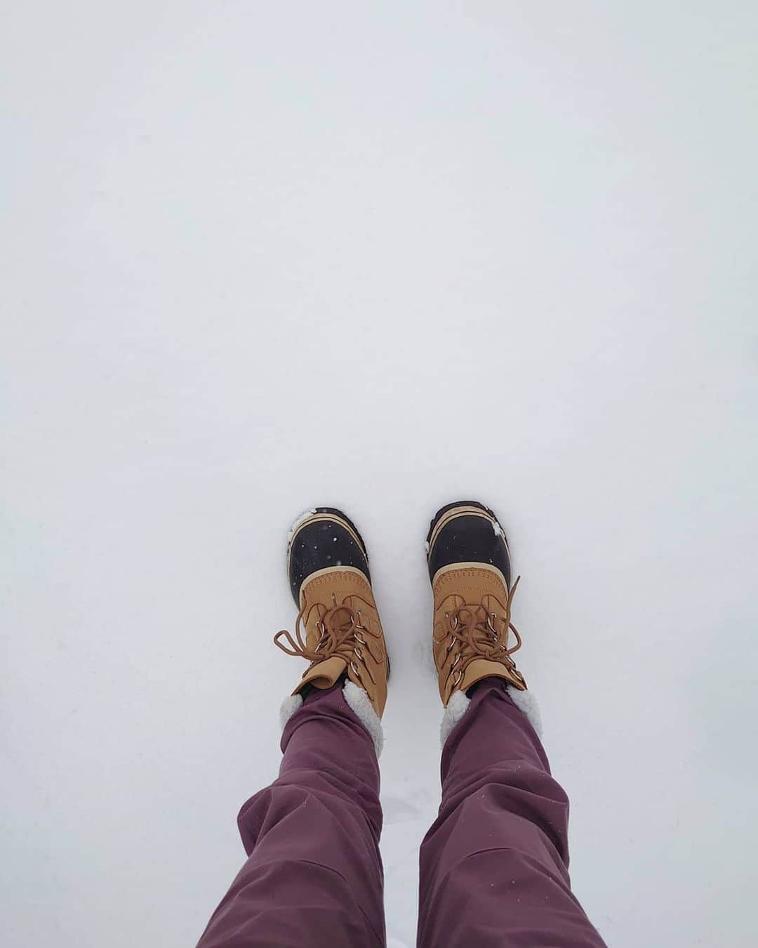 藤森由香のインスタグラム：「Winter is back!  #sorel#caribou#sorelcaribou #april#burton#snowing#真っ白#boots#cold」