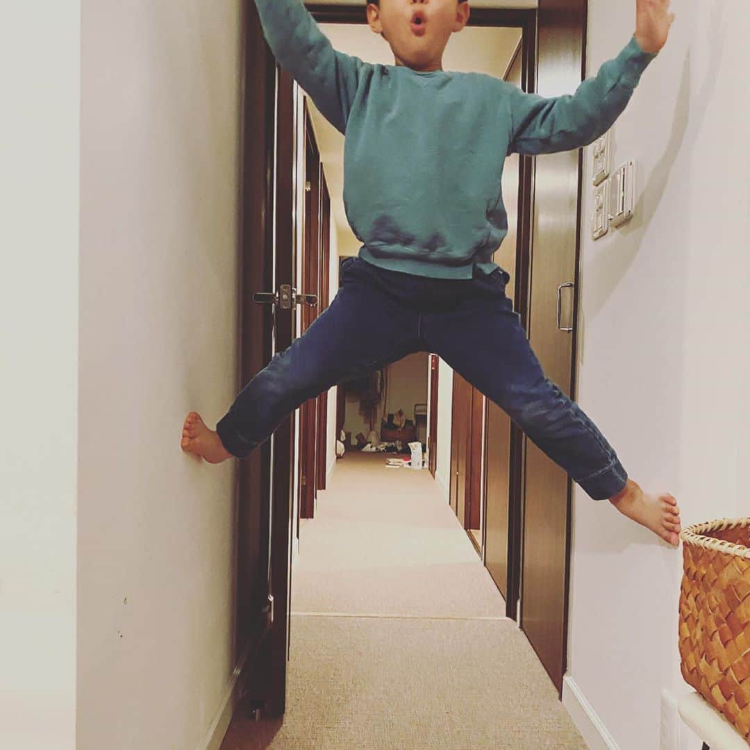 浜島直子さんのインスタグラム写真 - (浜島直子Instagram)「振り返ったら、いつもどこか登ってる暴れ肉団子。 「ごらぁ！登るんじねぇっ👹！！」と言ったら、真顔で、 「え？じゃあ、どの登ればいいの？」と。  5歳児脳内、天晴👏 ・ #思わずどこが登れるか考えてしまった #直子43歳の春 #登る前提 #暴れ肉団子 #5歳 #やめれ👹」4月13日 20時12分 - hamaji_0912