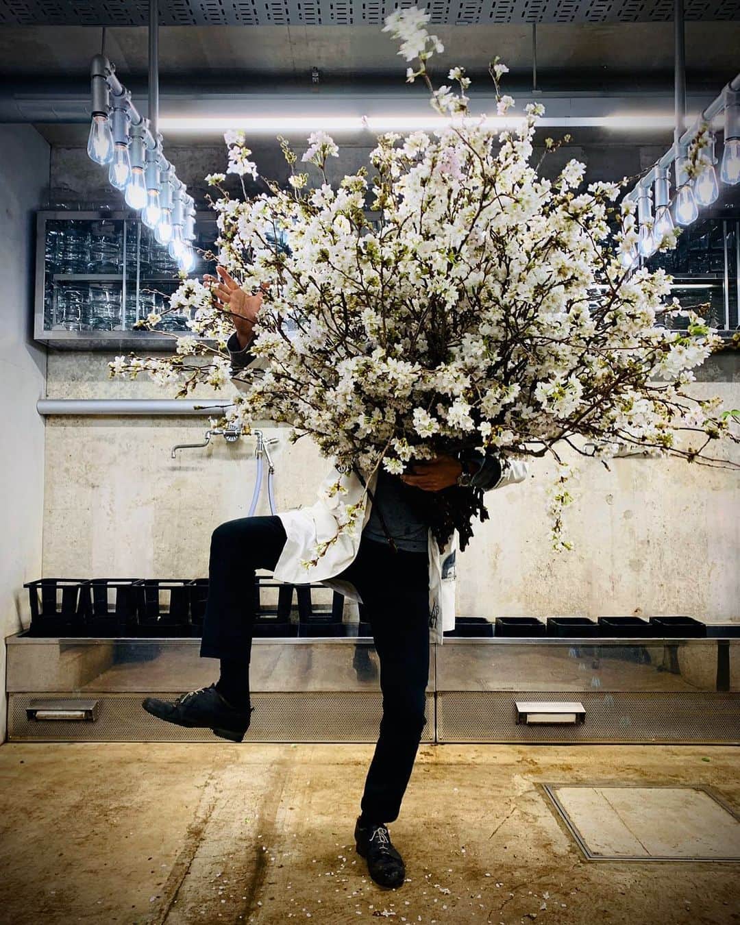 のインスタグラム：「Hey Ho Let’Go !  活ける！そして生きる！  #azumamakoto #shiinokishunsuke #amkk #amkk_project #jardinsdesfleurs #stayathome #besafe #bestrong #東信 #東信花樹研究所」