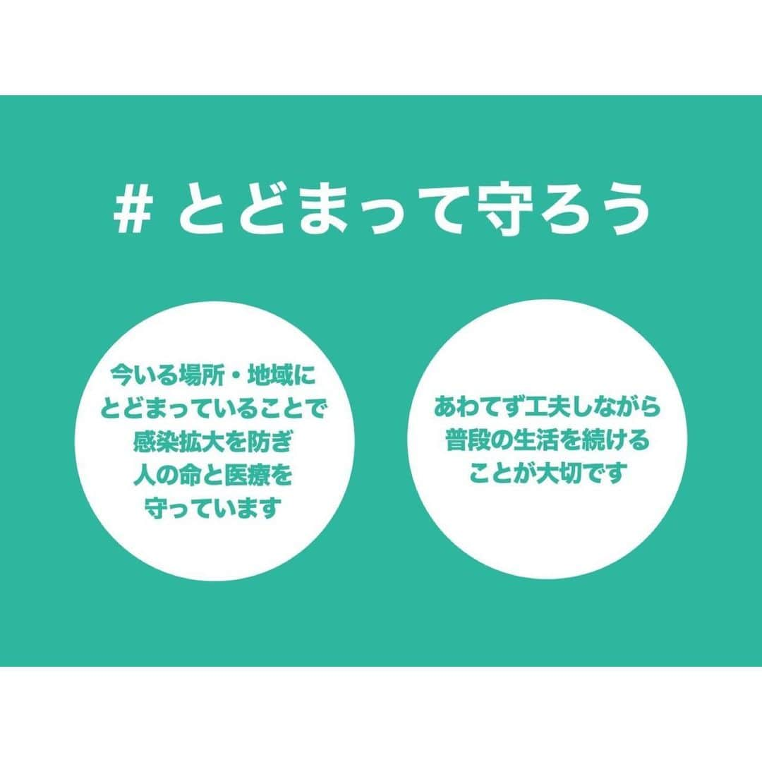 森光さんのインスタグラム写真 - (森光Instagram)「こんな状況ですが、先日4月9日で30歳になりました。愛猫のMiMiは4歳になりました。写真は去年トムに会いにシドニーに行ったときのものです。現在オーストラリアではロックダウン(都市封鎖)が開始されています。  先の見えない中での生活はストレスもたまり、息抜きに外出したくなる気持ちもわかります。しかし緊急事態宣言が出された今、私たちにできることはなるべく「外出しない」こと。それが自分だけでなく大切な家族や友人を守ることにもつながります。  厚生労働省クラスター対策班で北大の西浦博教授(8割おじさん)は外出自粛が8割減でないと感染拡大を収めることはできないという明確な試算も出されています。マスクや感染防護具不足など日々、医療崩壊の波を感じていますが外出自粛が1番の予防策ですので御協力をお願いいたします。  また、最近はSNSやネットニュースでもデマや医学的に根拠の無い情報が多く出回っております。  医師として科学的根拠がある情報を発信するべくYouTubeを始めました。始めてまだ1ヶ月くらいですがおかげさまでチャンネル登録者数が1000人近くになりました。休日に論文を読みあさり他ドクターの意見も参考にしながらまとめて撮影し自分で編集しています。最近では英語の字幕も頑張って付けております。少しでも皆さんのコロナ対策に役立てたら嬉しいです。 この危機を一緒に乗り越えましょう。  I've turned 30 in 9th Apr,and my dear little cat,MiMi has become 4 in 31st Mar.This picture is taken last year when I've been to Sydney to see my friend whose name is Tom.  In Australia 'LOCKDOWN'has already begun.Now we are under stress,however,not going out protects our familly and friends.  As you know,we should avoid the "Three Cs" ① Confined spaces (with poor ventilation) ② Crowded places (with many people nearby) ③ Close contact (with people) Please keep these "Three Cs"from overlapping in daily life.  I've started youtube.My channel will provide you with useful medical knowledge in everyday life.Movies uploaded recently have English subtitles.Please subscribe to my channel. Let's get over together.  #3密回避 #接触8割減 #外出1回 #コロナ #コロナに負けるな #コロナウイルスが早く終息しますように #コロナに負けない #コロナウイルスに負けないぞ #医療崩壊 #緊急事態宣言 #医師 #医療従事者 #ドクター #ロックダウン #ユーチューブ #オーストラリア #シドニー #おうち時間 #おうち #自宅待機 #自宅  #corona #coronavirus #covid #covid19 #lockdown #youtube #doctor #stayhome #stayathome」4月13日 20時10分 - traveler55morimori