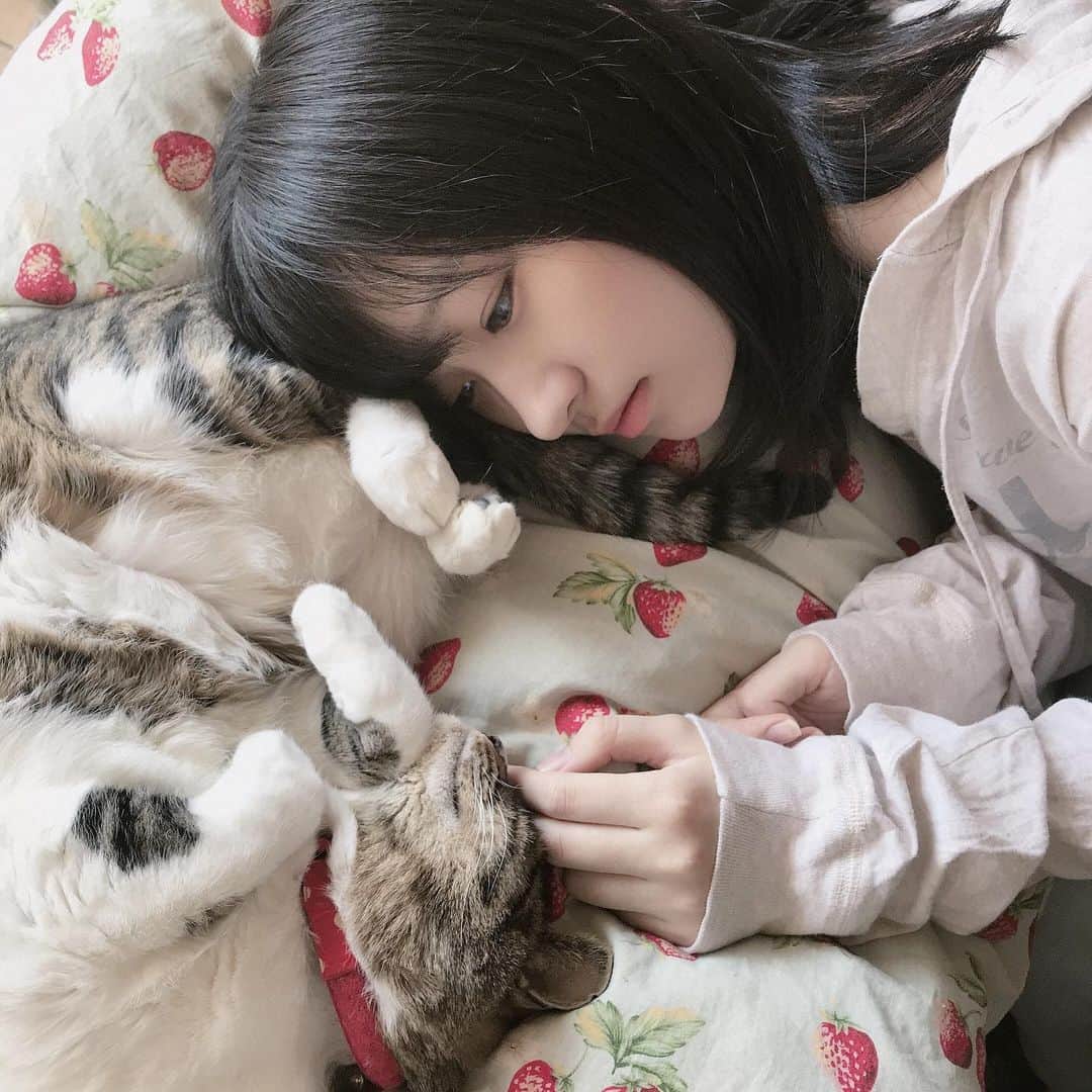 前野えまさんのインスタグラム写真 - (前野えまInstagram)「猫との時間🐱 ・ ・ #おはようございます #猫 #動画 #猫のいる暮らし #猫好きさんと繋がりたい #猫部 #猫動画 #ねこすたぐらむ #にゃんすたぐらむ #前野えま  #goodmorning #cat #movie #catstagram #catlife #catlover #cats_of_instagram #catstagram_japan #catmovie  #followme #instafollow #instagood #tagsforlikes #tflers #actor #actress #girl #photography #portrait #portraitphotography」4月14日 6時23分 - maeno_ema