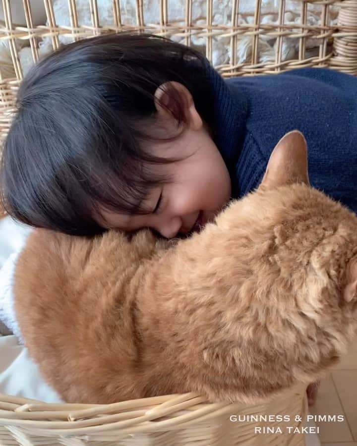 ギネス & ピムスのインスタグラム