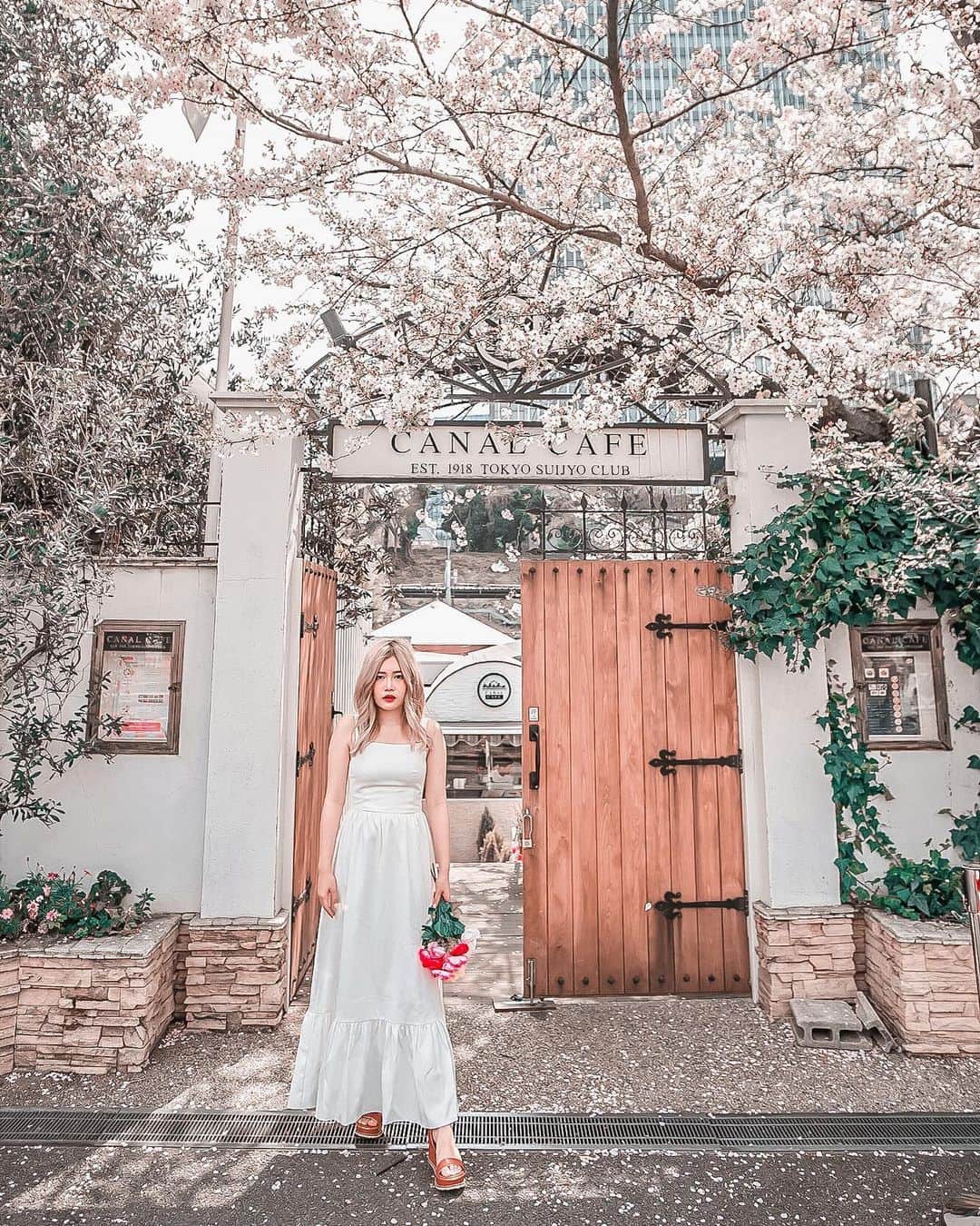 Stella Leeのグルメインスタ