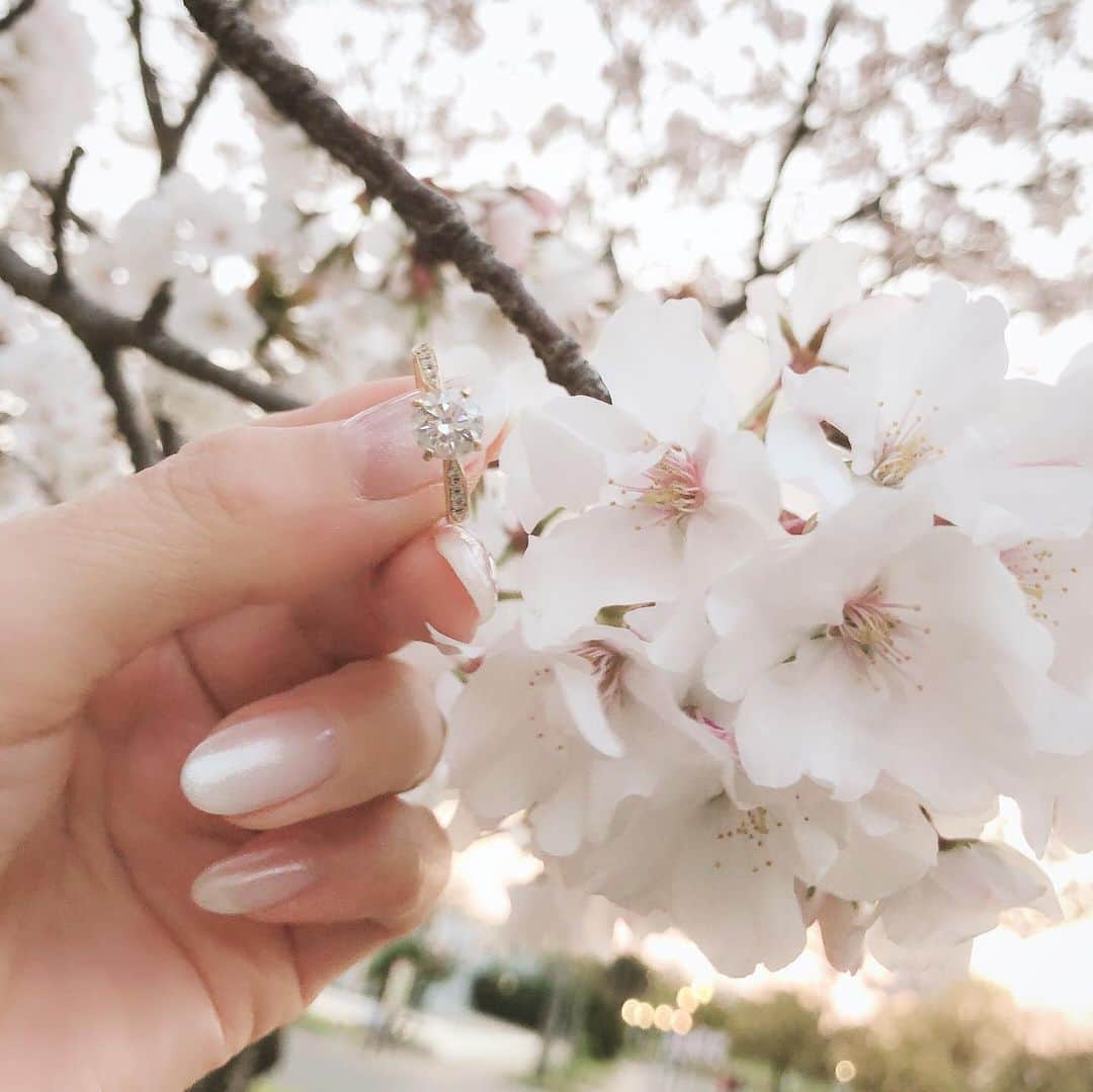 鈴木絢子さんのインスタグラム写真 - (鈴木絢子Instagram)「・ ・ 【ツノジュエリーのマリッジリング】 大阪の桜もいよいよ見納めです🌸 桜とダイヤをこうして併せて見られるのが幸せなシーズンでした💍✨ ・ イベント事はもちろん、結婚式など冠婚葬祭も自粛の日々。。 ・ 式はまだでも指輪だけは先に渡しておきたい！という方のために、高品質なダイヤを使用したリングを日本最安値級のレベルでご提供しています🤲 ・ ・ 💎Tokyo Diamond Tsuno Jewely ・ 💍Pt900、H-SI、1.0ctリング https://item.rakuten.co.jp/tsunotokyo/tnsr-0034/ ・ 💍重ね付けもオススメ！ https://item.rakuten.co.jp/tsunotokyo/tnsr-0042/ ・ ・ ジュエリー業界も、仕入れ元のインドがコロナの影響を受け工場閉鎖となったり、、、 本当に世界中が大変な状況に。。 ・ しかし高品質なダイヤが手に入るうちは、この価格で❣️ ダイヤを通じて幸せな気持ちをお届けできたらと思います🤗✨ ・ ・ ・ #ジュエリープロデュース #ツノジュエリー #ジュエリーコーディネーター #美容家 #美肌ジュエリー #開運ジュエリー #運気アップ #春のジュエリー #プラチナ #幸せを運ぶ鹿のツノ #指輪 #プラチナ #重ねづけ #人気 #ダイヤモンドリング #ジュエリー #ギフト #ご褒美 #結婚指輪 #1カラット #大粒ダイヤ #結婚式 #コロナの影響 #jewelry #tsunojewelry #diamond #ring #sakura #💍」4月13日 23時07分 - ayako_suzuki810