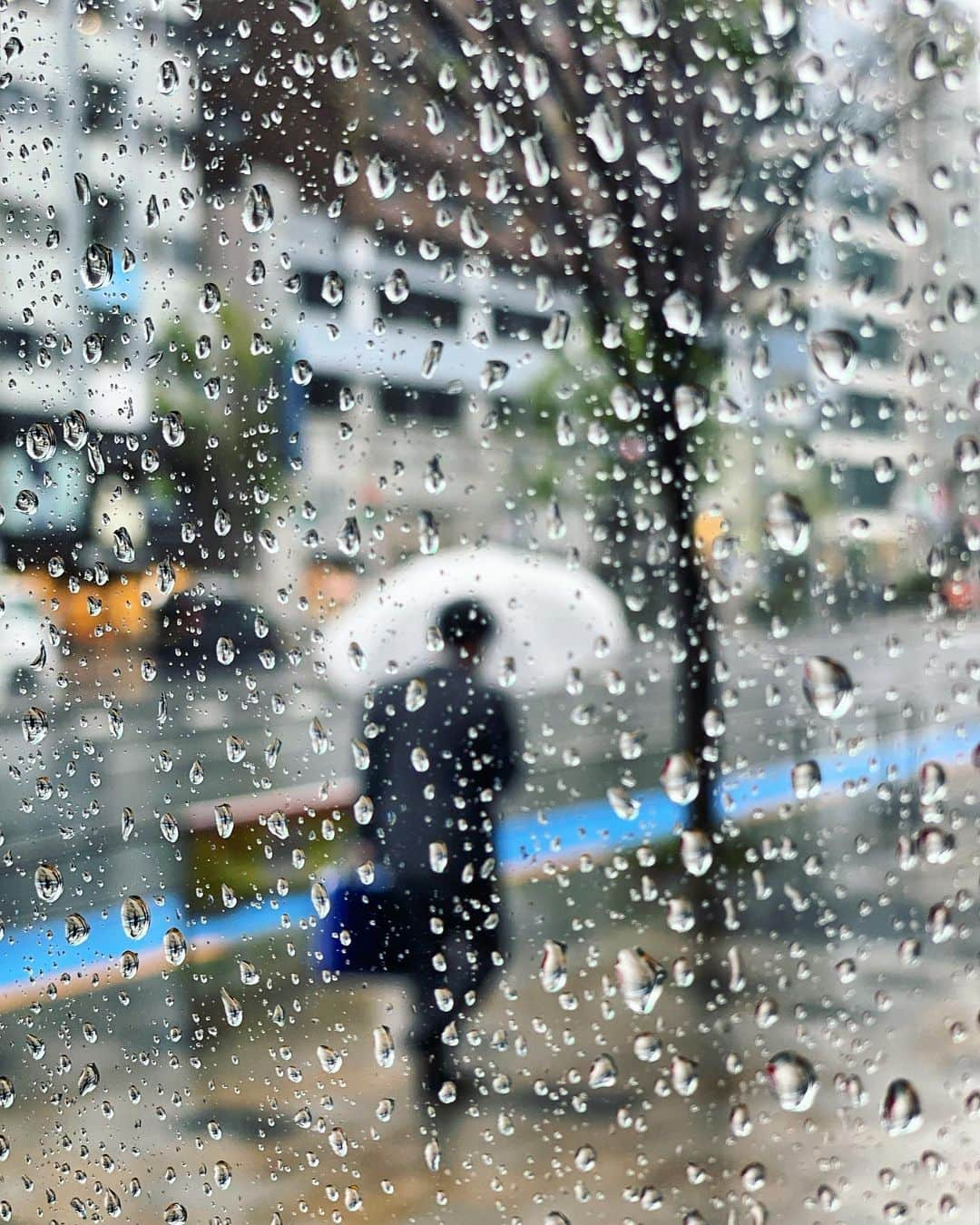 宍戸開さんのインスタグラム写真 - (宍戸開Instagram)「#rain #rainyday #drizzling #intherain #raineystreet #raindrops #rainphotography #raincinematography #kaishishido #surface #iphone11pro」4月13日 23時07分 - kaishishido