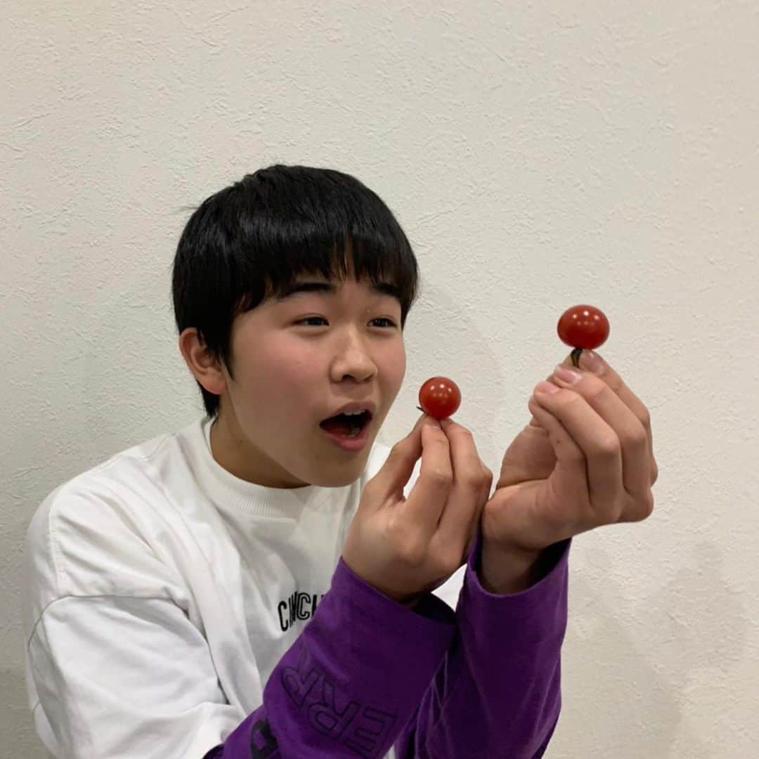 鈴木福さんのインスタグラム写真 - (鈴木福Instagram)「中山忍さんから！ 入学お祝いとして、トマトを頂きました！！ コロナウイルスで大変な今、運動もなかなかしにくいので食べ物からしっかり免疫力をつけないと！  トマトは最高です！！ めちゃくちゃ美味しかったです！ ありがとうございました！！ みなさんもトマト食べましょう！！ 中山さんとは、楽は共演しているのですが、僕はまだなので共演できるよう頑張ります！  #お祝い#入学#トマト#尊い#コロナに負けるな#コロナ対策」4月13日 23時08分 - s_fuku_te
