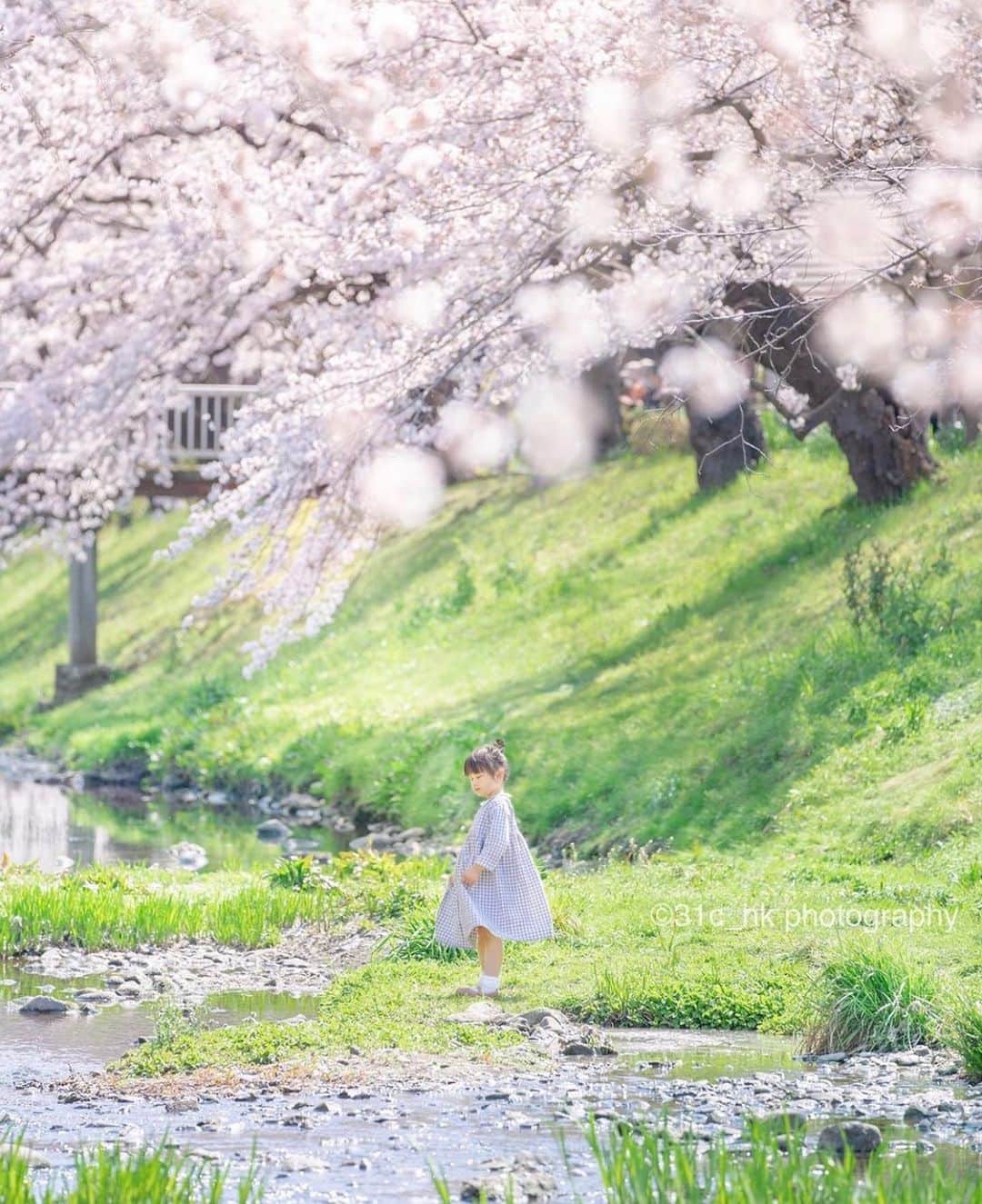 はなまっぷ❁日本の花風景さんのインスタグラム写真 - (はなまっぷ❁日本の花風景Instagram)「🌷🌸はなまっぷの春まつり🌸🌷 * @31c_hk さんの  花のある風景に花まるを💮 * 人々の心にも花が咲く日本の美しい春をありがとうございます😊🌸 * 🌼サクラの花言葉📝🌼 優美な女性、精神の美 * 今年に限らず過去に撮影されたお写真も含めて、春の花風景をご紹介しています🌸 みなさんの素敵なお写真で、日本の美しい春を楽しみましょう😊 * 🌸•••🌸•••🌸•••🌸•••🌸•••🌸 * いつも素敵なお花をありがとうございます😊 日本の花のある風景にタグ付けしてください🌸 お花があれば何でもOKです💓 * #はなまっぷ * #日本の美しい花風景#花のある風景#花#花言葉#風景#花畑#春#桜#サクラ」4月13日 23時34分 - hanamap
