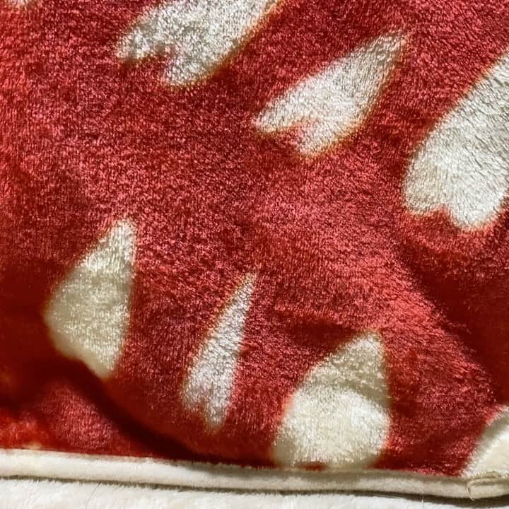 まる（まるたろう）のグルメインスタ