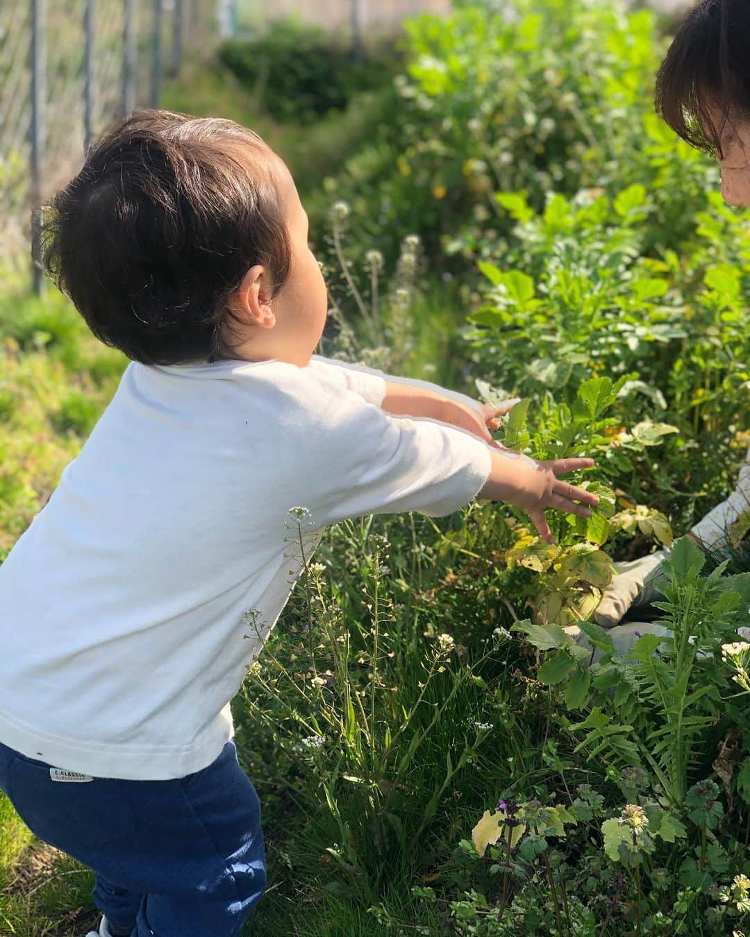 菅野広恵さんのインスタグラム写真 - (菅野広恵Instagram)「＊＊＊﻿ 大根の収穫中♪﻿ 彼は真剣です‼︎﻿ ﻿ 以前、関西にいた時に知り合いの大好きな農家さんの所で、お野菜の収穫のお手伝いをさせてもらった時の写真^_^﻿ ひーくんもめちゃくちゃ楽しそうで畑にすごく入りたがってましたw﻿ 大根を自分で収穫したら、 「これ、ひーくんの大根！」と自慢気だった🤣💓﻿ 元々野菜好きな息子だけど、畑に連れて行くことで、自分でお野菜を収穫したり野菜の成り立ちも分かったりし、さらに好きになったご様子❤️﻿ 野菜や畑の大切もこれからもっと伝えていきたいな🍅﻿ ﻿ 自分がいつも @vegetaiment で農園イベントを運営しているけど、自分の子供を自分のイベントには連れて行ったことがまだなかったので、関西で有田農園さんに何度もお邪魔させて頂き、農家体験をさせて頂き、有田農園さんには本当に感謝感謝です😭💓﻿ ﻿ 何より息子が楽しそうで、生き生きしていたのがすごく嬉しかった^_^！﻿ ﻿ 畑でコケて泥んこになったりしたのもいい経験😆⭐️﻿ ﻿ コロナが落ちついて　@vegetaiment でイベント再開出来る様になったら息子も連れていきたいな♪﻿ ﻿ #農業⠀﻿ #農園⠀﻿ #農家体験⠀﻿ #食育⠀﻿ #農業体験⠀﻿ #農家⠀﻿ #農園女子⠀﻿ #農ガール⠀﻿ #農園ファッション⠀﻿ #農ファッション⠀﻿ #自然と触れ合う⠀﻿ #野菜の美味しさ⠀﻿ #野菜の魅力⠀﻿ #野菜ソムリエプロ⠀﻿ #vegetables ⠀﻿ #vegetaiment⠀﻿ #野菜をもっと美味しく⠀﻿ #野菜好き⠀﻿ #野菜好き集まれ⠀﻿ #ママトコ ⠀﻿ #mamagirl⠀﻿ #ママリ⠀﻿ #赤ちゃんのいる生活⠀﻿ #2歳児ママ⠀﻿ #農業スタグラム⠀﻿ #農スタグラム﻿ #食育﻿ #食育体験﻿ #野菜ソムリエプロ」4月14日 0時51分 - hiroesugano