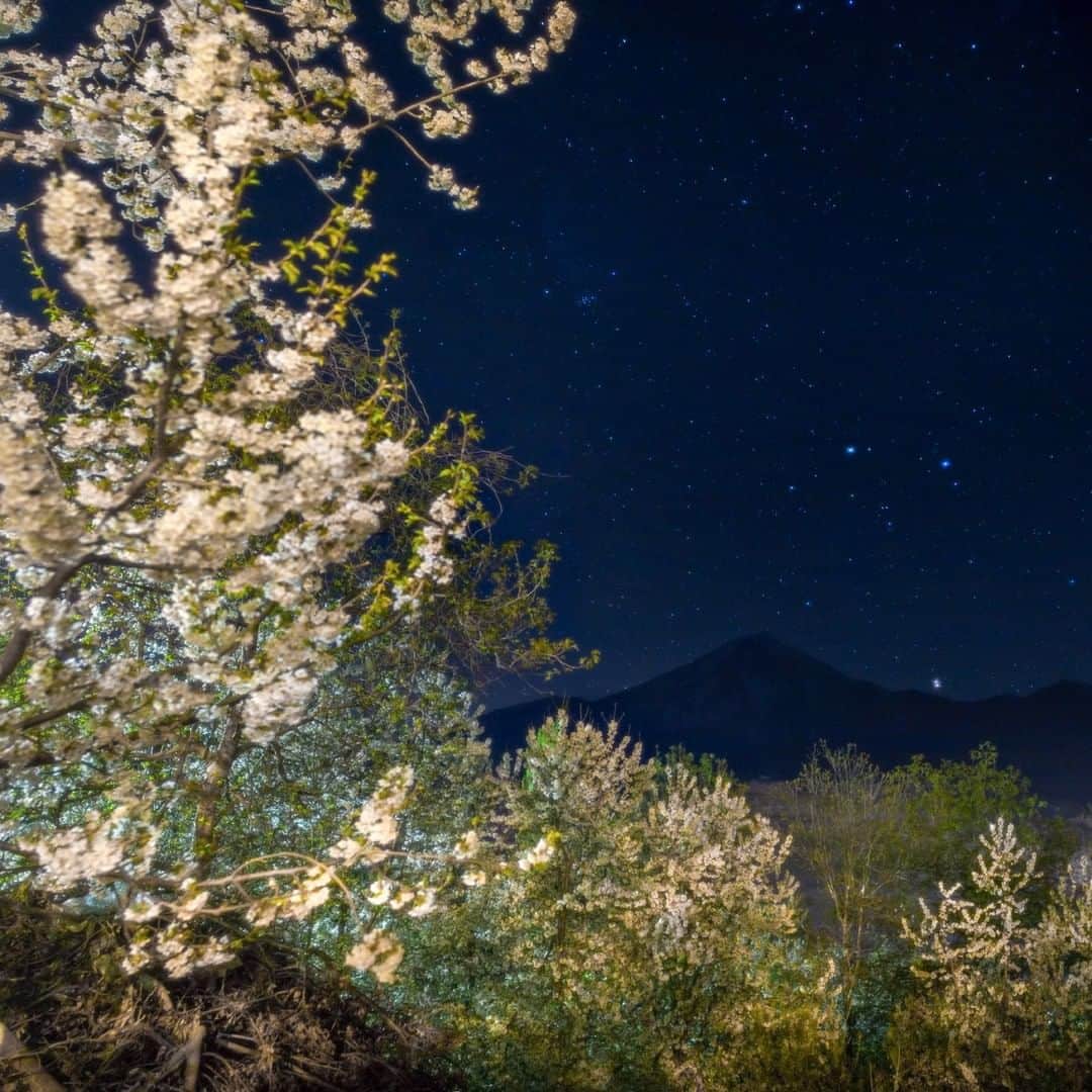 National Geographic Travelさんのインスタグラム写真 - (National Geographic TravelInstagram)「Photo by @babaktafreshi | I walked through apple blossoms to find my angle on a clear night in April 2008, when I was still living in Iran. The stars of Gemini were setting above the Alborz Mountains. ⁣I hope this view brings a moment of peace and hope to the world during this challenging pandemic. ⁣⁣#iran #alamut #alborz #twanight」4月14日 1時06分 - natgeotravel