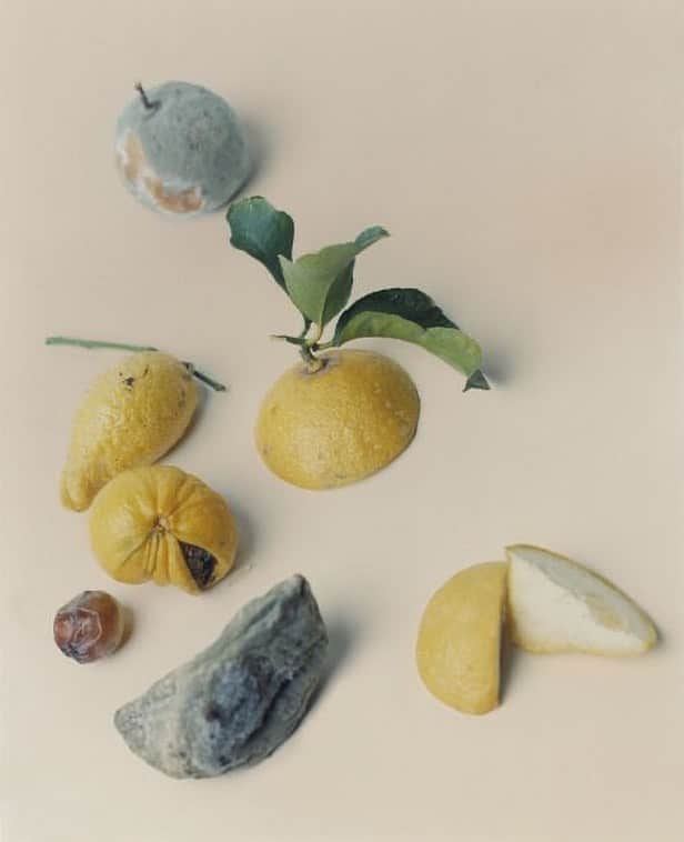 デミリーさんのインスタグラム写真 - (デミリーInstagram)「A citrus still life 🍋🌱💛 #harleyweir」4月14日 2時16分 - demyleeny
