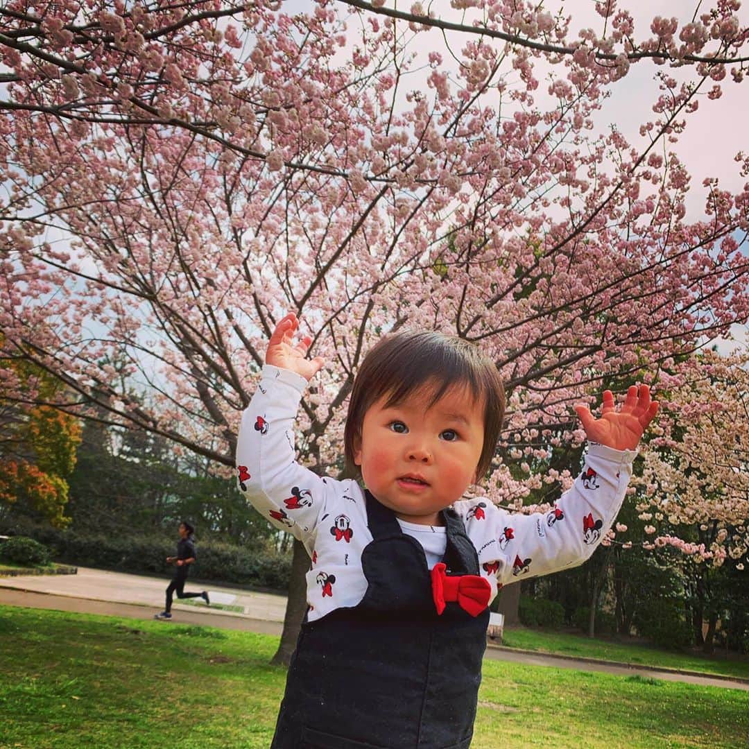 福田恭巳のインスタグラム：「. 今年はピクニックせず 近所で歩いて桜を見るだけ🌸👀 . どうせ娘はシートの上で じっとしてられないし ちょうどよかったかな。 . 今年も娘と桜を見れたこと 無事に私の誕生日を 迎えられたことに感謝します。 今週も健康に過ごせますように✨ . .  I am grateful that I was able to see the cherry blossoms with my daughter again this year, and that I had a healthy birthday.  I hope you can stay healthy this week. . . @emma93k . #slacklife #mybirthday #お誕生日 #28歳 #まだ20代 #女の子ママ #ママアスリート #1歳7ヶ月」