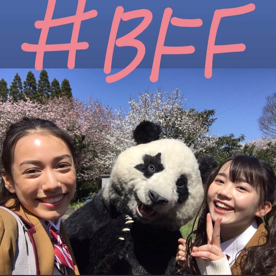 星星（セイセイ）さんのインスタグラム写真 - (星星（セイセイ）Instagram)「💓 . #BFF #大親友 . #星星 #パンダ #panda #pandagram #パンダ好きな人と繋がりたい #レイア #相方 #ZIP!」4月14日 16時16分 - seisei_panda