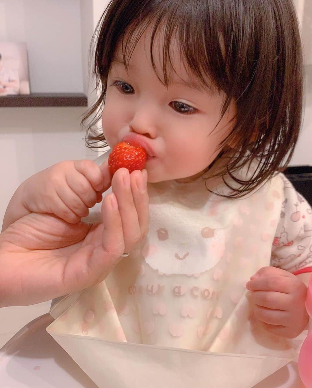 大知めぐみさんのインスタグラム写真 - (大知めぐみInstagram)「#もぐもぐタイム 🍓💗 . 頬張り過ぎてハムスターみたい🐹 1つ食べると、次を貰う為に「美味しい」と「可愛い」のポーズしてくれる😂💗 . 昨日は、ストーリーズに質問ありがとうございました☺️💕 初の試みとっても楽しかったです!! アーカイブでいくつか残しておきます💗 . . . . #1歳5ヶ月 #育児中 #赤ちゃん #赤ちゃんのいる生活 #赤ちゃんのいる暮らし #ママリ #ベビフル#新米ママ#新米ママと繋がりたい #baby#instagood #instalike #followｍe #ママ#女の子ママ #2018_winter_baby部 #苺#いちご」4月14日 10時29分 - megmeg0715