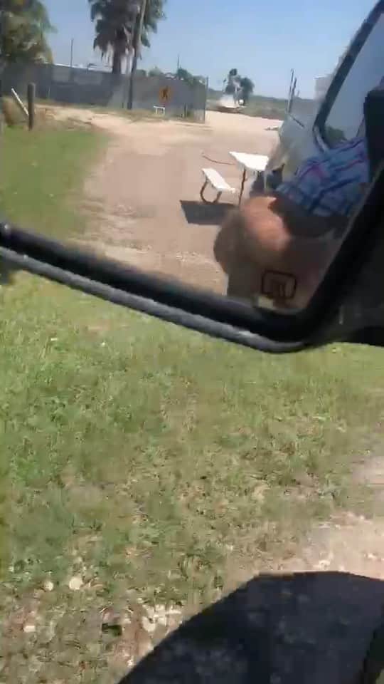 ストーン・コールド・スティーブ・オースチンのインスタグラム：「My buddy down in South Texas just started a moving service. Hard working and dependable for sure. With over three days of experience, he’s ready to solve your moving needs. Unlicensed and unbonded. Call Speedy at 1-800-555-12121 Tell him Austin sent you for 10% off your move!」