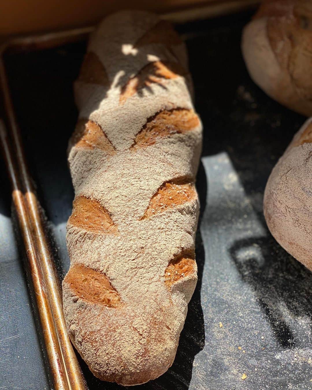 魔女菅原のグルメインスタ