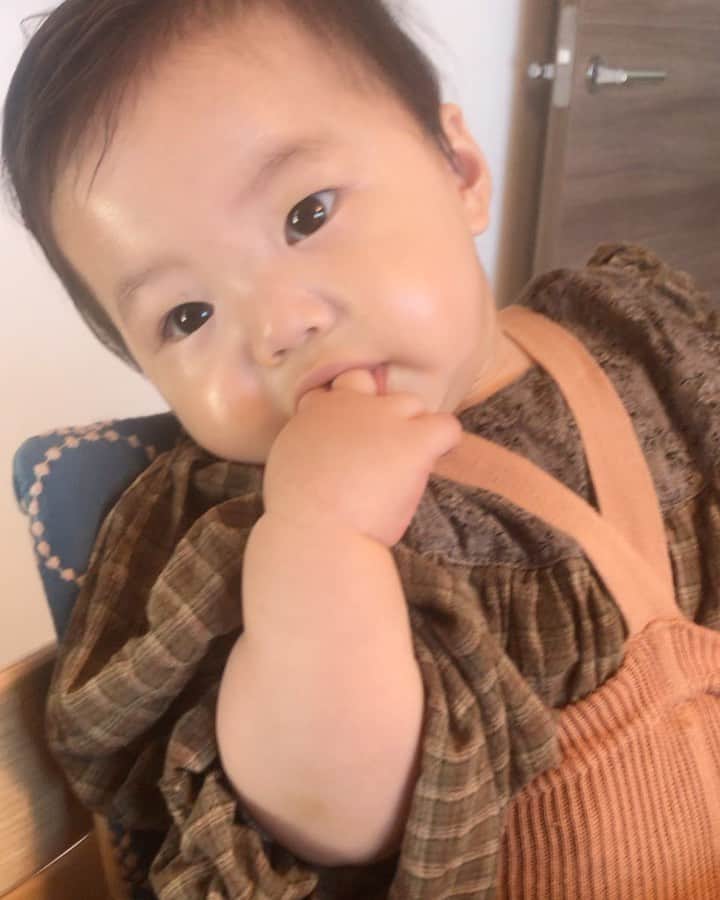 濱中鮎子のインスタグラム：「女子感出してきた  #お嬢の成長記  #テカテカ  #右頬転んでアザになってる  #怪獣  #立ち上がり方が速くなってきた  #私の首振りに合わせて首を振る」
