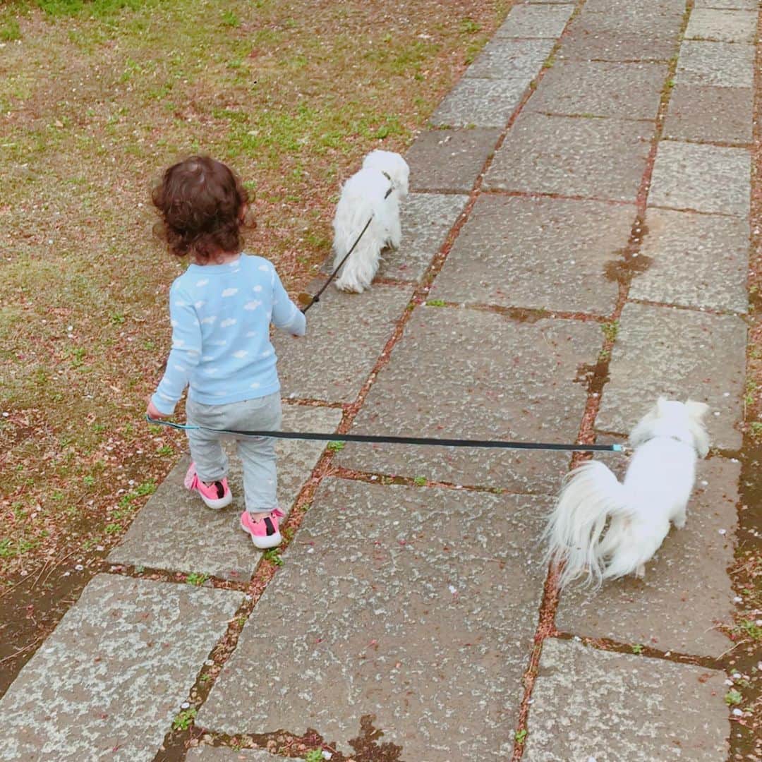 森泉さんのインスタグラム写真 - (森泉Instagram)「Excellent doggy walker👍」4月14日 11時30分 - izumi.mori