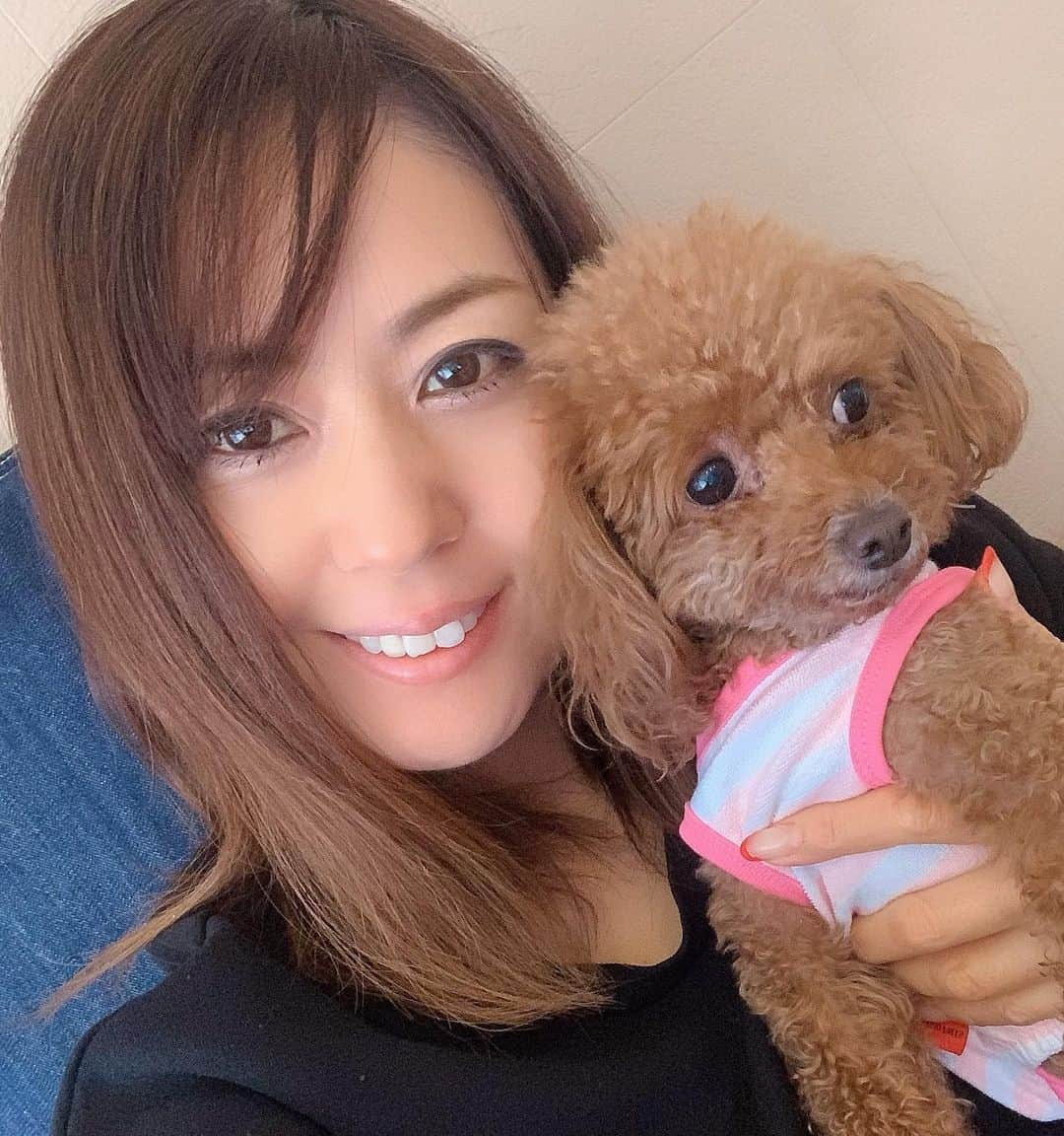 ikuさんのインスタグラム写真 - (ikuInstagram)「こんにちは♡ #おうち時間 ・ シェリちゃんと私🐶 何枚とってもカメラ目線がない🤣 ・ 最近は一緒にいる時間が増えた❤️ ・ 可愛くて匂いでしまう❤️笑 ・ #シェリちゃん#愛犬#トイプードル#可愛い#癒し#癒しの時間#大好き#stayhome#instadog#love#dogstagram #me#japanesegirl #アラフィフ女子」4月14日 11時47分 - cheriee515