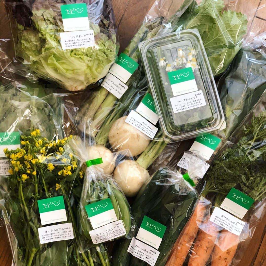 ヤミーさんのインスタグラム写真 - (ヤミーInstagram)「海老原ファーム「エビベジ」が届きました！⁣ ⁣ 飲食店休業、百貨店休業等で、収穫最適期の野菜が余っている、との情報を聞きつけて⁣ 今困ってるものを送ってください！何でも料理できます。とご連絡。⁣ ⁣ 翌日には、3000円分のイキイキ野菜を送っていただきました。⁣ ⁣ 廃棄でもたい肥になるので、全くの無駄にはならない、とのことですが、少しでも救えたらな〜と。⁣ ⁣ ⁣ ⁣ 今朝は早速フレッシュハーブティーを。⁣ ⁣ 10年くらい前かな。海老原さんのところでこのハーブティーをいただいて、フレッシュハーブってなんて美味しいんだろう、と思ったのが今につながってます。⁣ ⁣ ⁣ ⁣ ****⁣ 宅配業のみなさんも、物量増えて大変だと思うので(元オンラインショップの中の人なんで)、なるべく使わないように、と思ってたんですが、こういう時はお力借ります。⁣ ⁣ (古巣では、1週間受注ストップするほどの注文数になってたようなので、店舗に殺到も困るけどこういうのも冷静に〜)⁣ ⁣ ⁣ ⁣ #エビベジ #朝ティー #フレッシュハーブティー ⁣ #おうち時間 #おうちカフェ ⁣ ⁣」4月14日 12時44分 - ym_3stepcooking