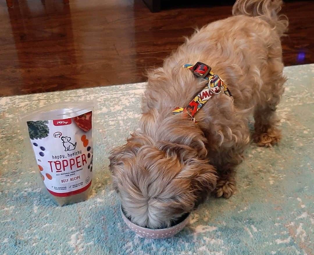 Animalsさんのインスタグラム写真 - (AnimalsInstagram)「Dogs were not meant to eat just kibble! Add nutrition and variety to your pup's food with our new Happy, Healthy ™ toppers! Packed with freeze dried raw chicken or beef, blueberries, carrots, kale, probiotics and collagen... it's the complete solution to boring every day food! (Link to learn more in @iheartdogscom bio. )」4月14日 12時50分 - iheartanmls