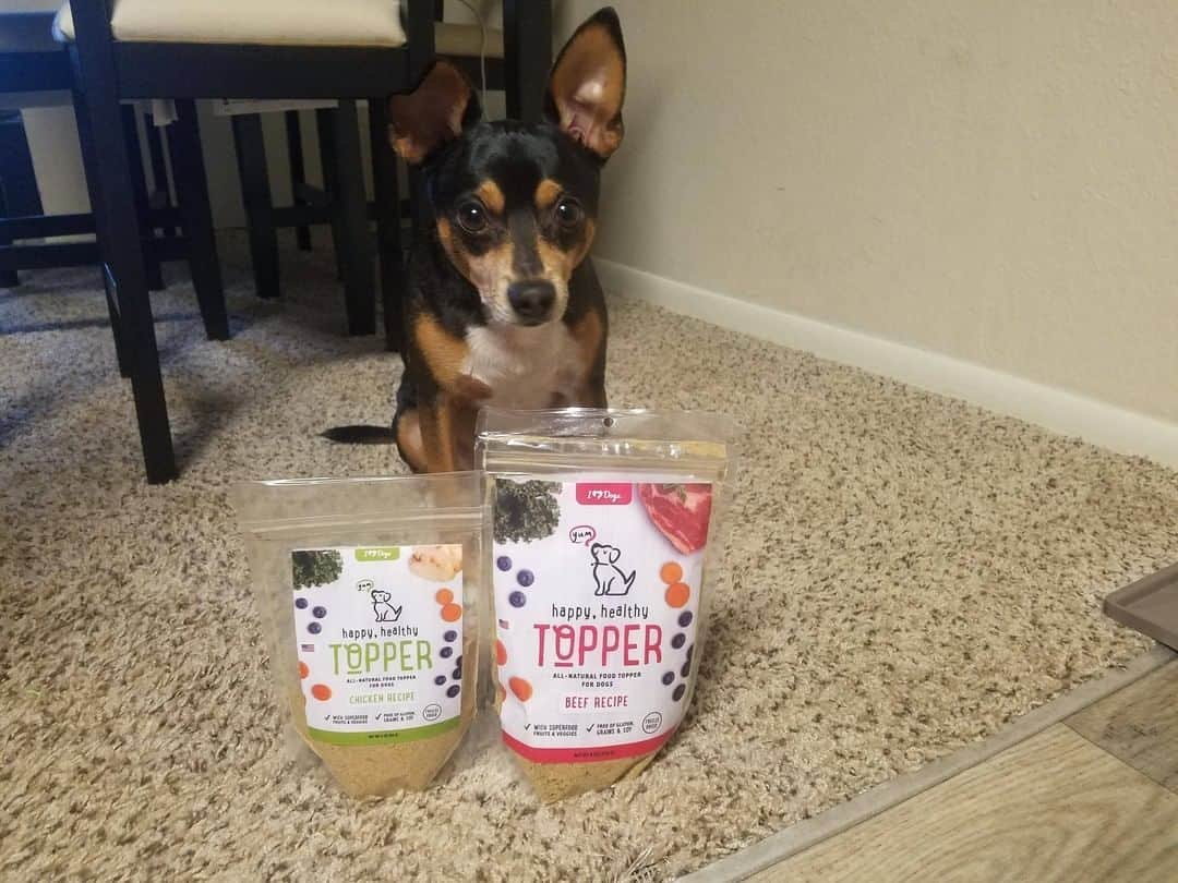 Animalsさんのインスタグラム写真 - (AnimalsInstagram)「Dogs were not meant to eat just kibble! Add nutrition and variety to your pup's food with our new Happy, Healthy ™ toppers! Packed with freeze dried raw chicken or beef, blueberries, carrots, kale, probiotics and collagen... it's the complete solution to boring every day food! (Link to learn more in @iheartdogscom bio. )」4月14日 12時50分 - iheartanmls