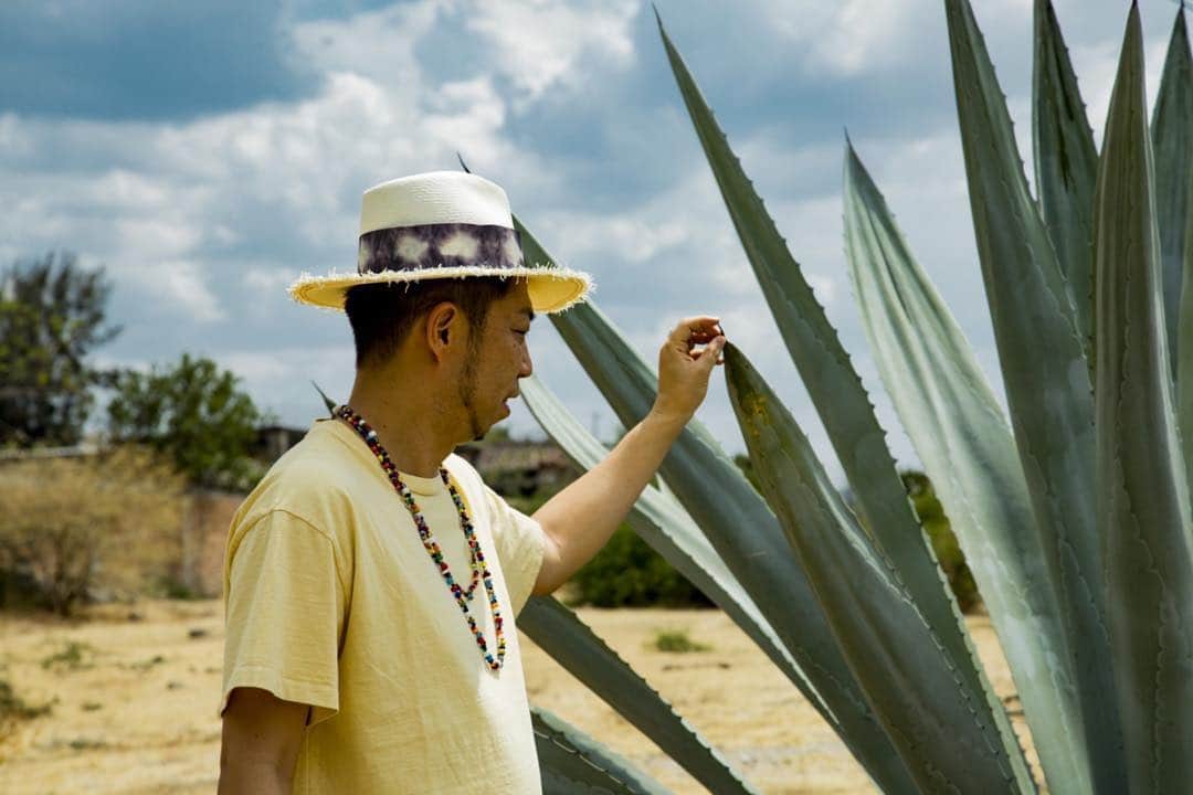 のインスタグラム：「HAPPiLAの原料はブルーアガベ100% 刺さると痛い⚡️ #happila#tequila  #mexico#agave」