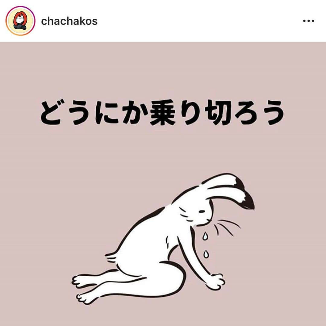 高松いくのインスタグラム