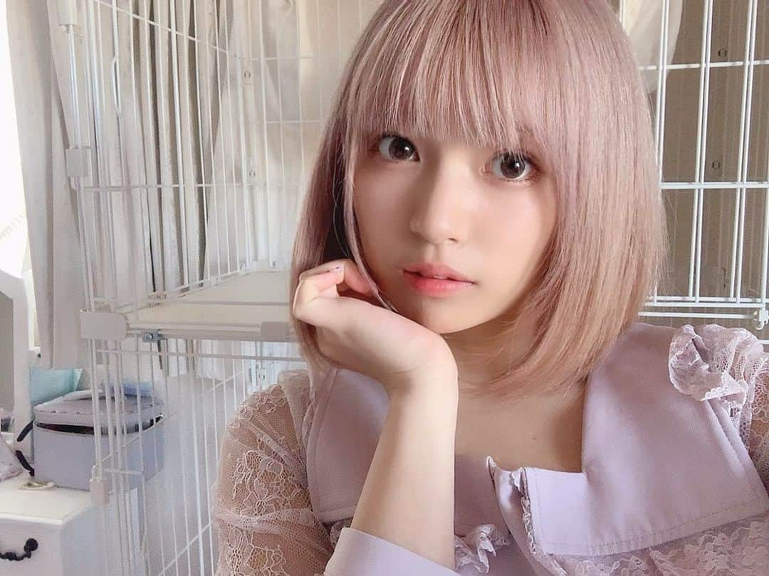 根尾あかりのインスタグラム：「髪色おピンク🌸🥰 #ヘアメ #楽しみ💕 #ピンクベージュ #ピンクアッシュ #ピンクヘアー  #まだちょっと違和感」