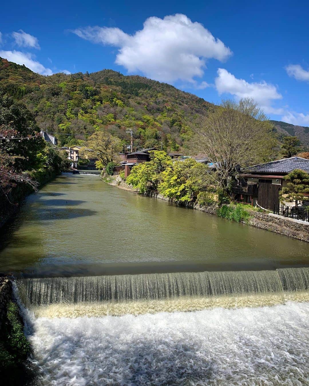 豊大槻さんのインスタグラム写真 - (豊大槻Instagram)「#arashiyama  #togetsukyo  #嵐山  #渡月橋」4月14日 16時44分 - yutakachi