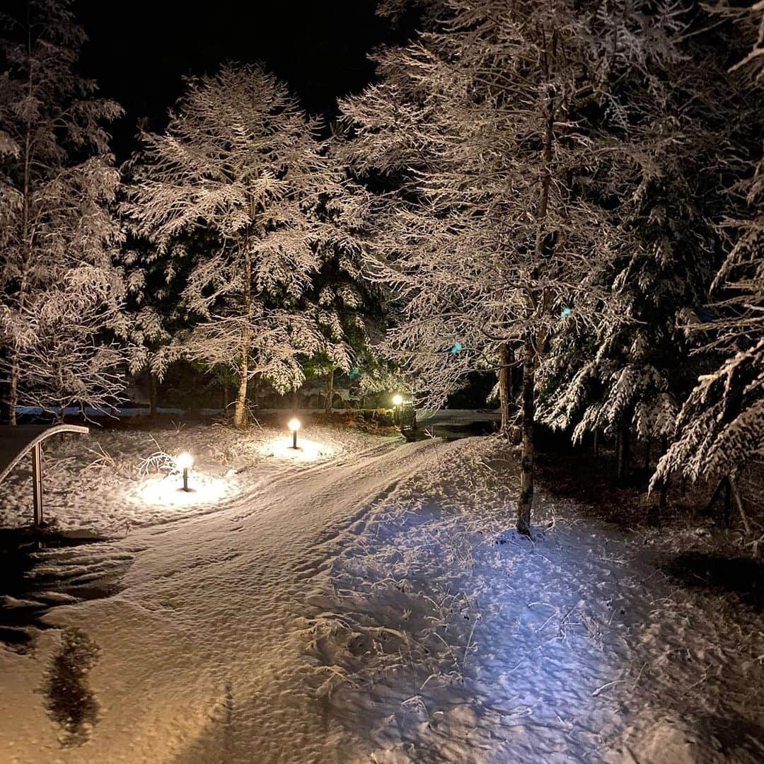 野間美由紀のインスタグラム：「昨夜11時頃に撮った写真。クリスマスか😅」