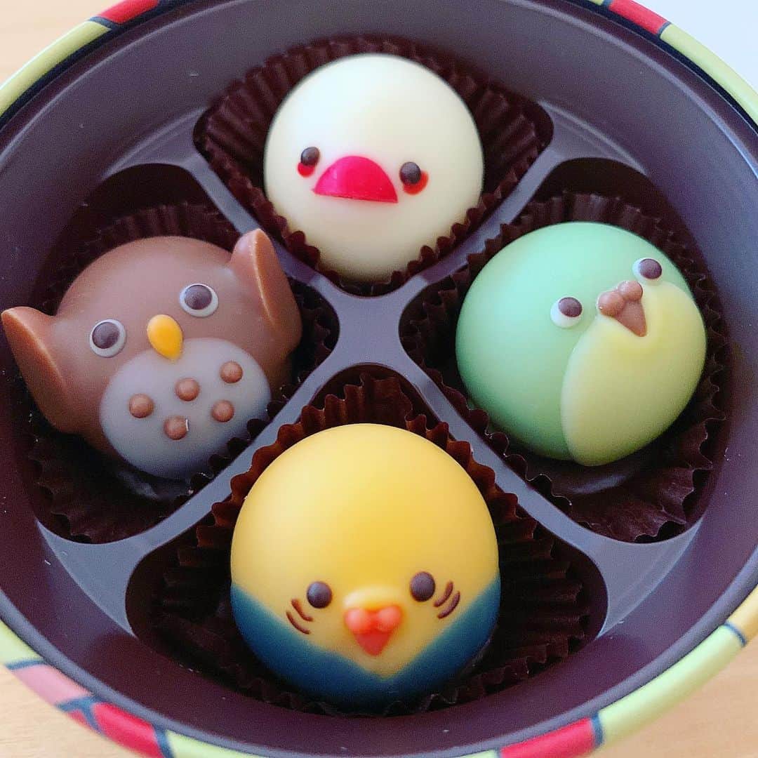 上野まなさんのインスタグラム写真 - (上野まなInstagram)「先々月にファンの方にいただきました。かわいいな〜☺️ 賞味期限、まだ大丈夫です✌️ #食べるのもったいない  #アニマルチョコレート  #animalchocolat  #かわゆす　🐥💓 #bird #インコ #chocolate」4月14日 17時33分 - managram18