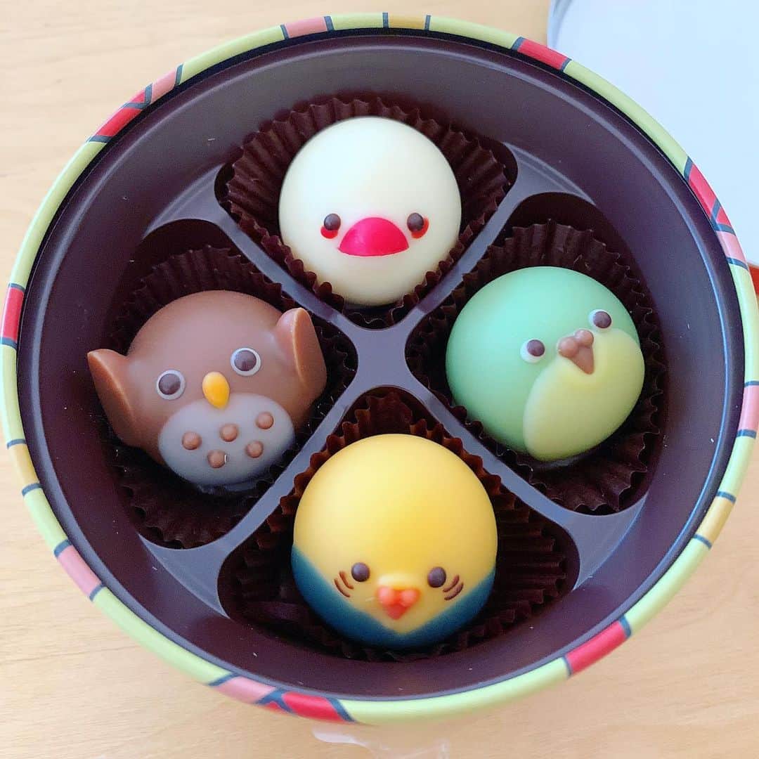 上野まなさんのインスタグラム写真 - (上野まなInstagram)「先々月にファンの方にいただきました。かわいいな〜☺️ 賞味期限、まだ大丈夫です✌️ #食べるのもったいない  #アニマルチョコレート  #animalchocolat  #かわゆす　🐥💓 #bird #インコ #chocolate」4月14日 17時33分 - managram18