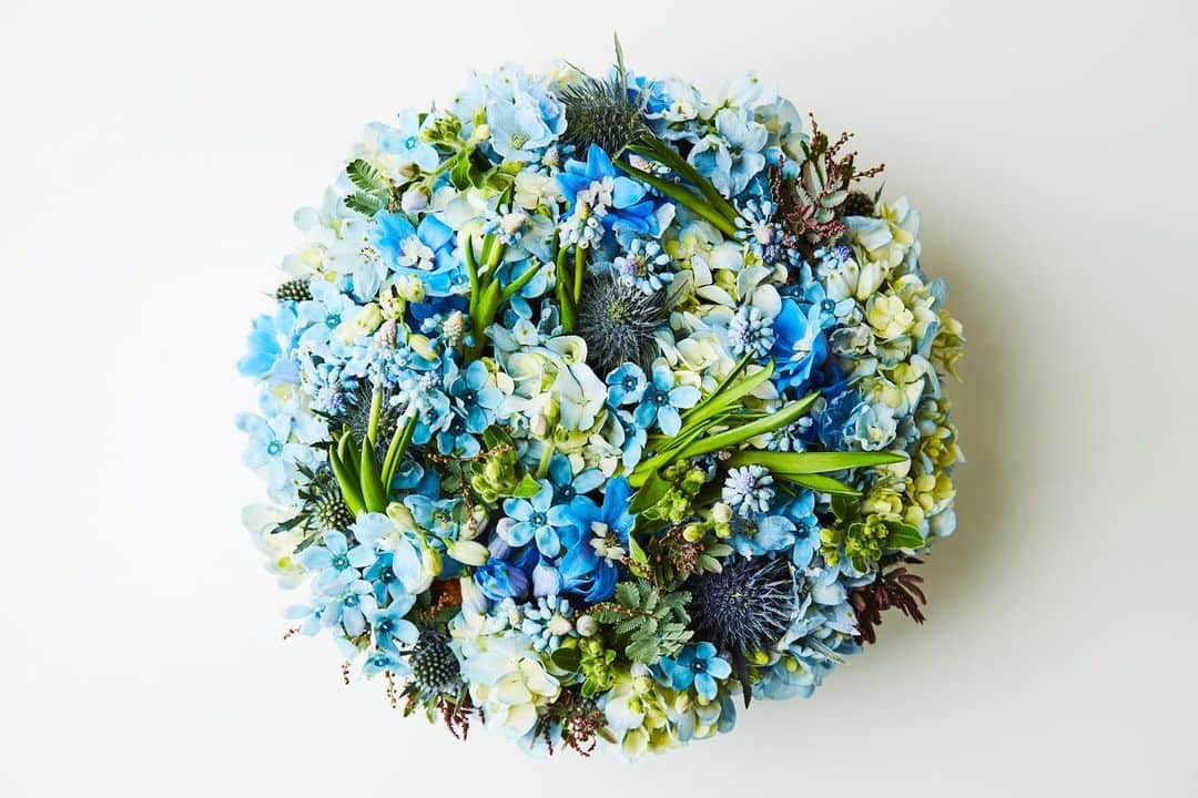 椎木俊介のインスタグラム：「Flowers #東信花樹研究所 #東信 #shiinokishunsuke #makotoazuma #azumamakoto #amkk #amkkproject #flowers #flowerart」