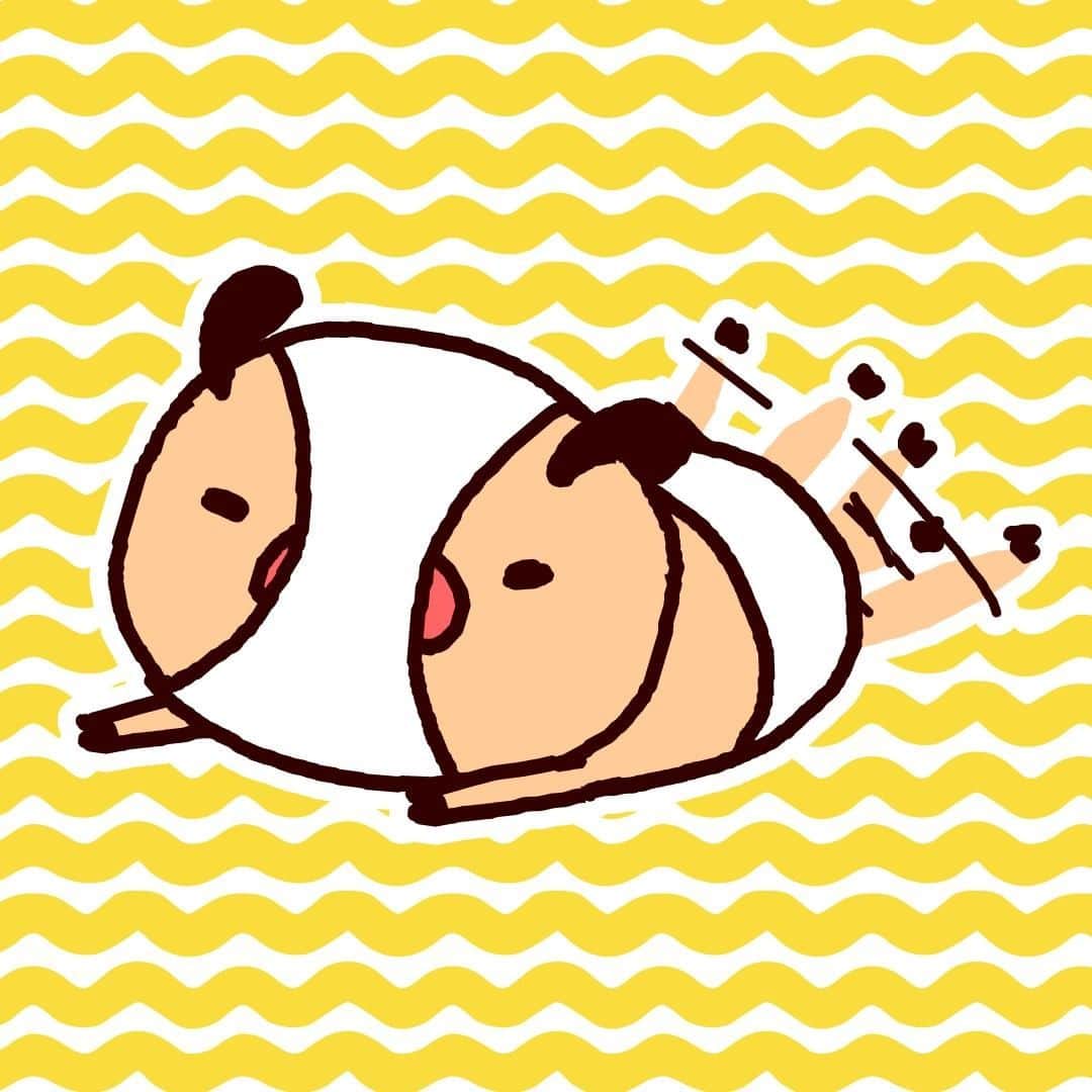パンパカパンツ公式のインスタグラム
