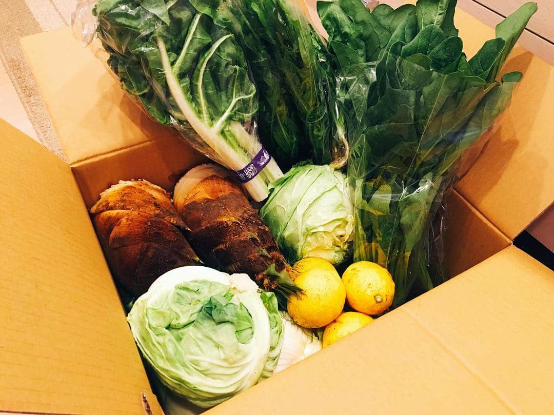 杜このみのインスタグラム：「いつもお世話になっている方から、 たくさん、新鮮なお野菜を頂きました‼︎😊 横須賀市の#ながしま農園 さんのお野菜です♪ 箱を開けた瞬間から、土の香りと瑞々しいお野菜の香りがして、春を感じました♪」