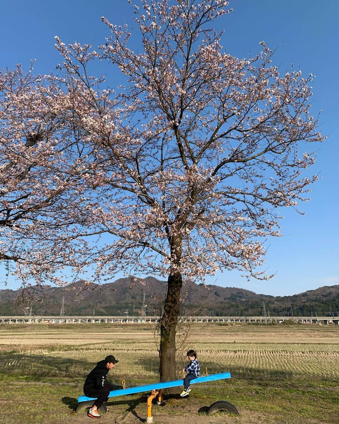 松永祥兵のインスタグラム：「🌸」