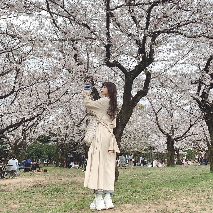 のインスタグラム：「また来年~🌸」