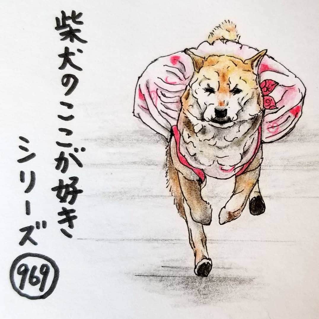 ハナとソラのインスタグラム