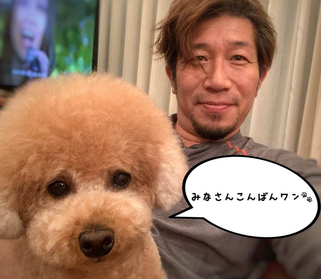 多村仁志さんのインスタグラム写真 - (多村仁志Instagram)「. 皆さんお久しぶりです ・ 自宅でまったり生活２週間 ・ #stayhome #トイプードルの姿をした息子 #SOL #4歳 #長男 #toypoodle #男の子」4月14日 21時07分 - hit_tamu