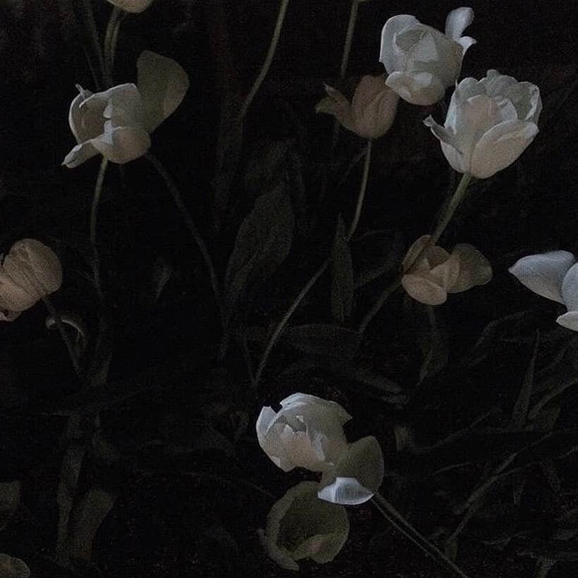 セナのインスタグラム：「🤍」