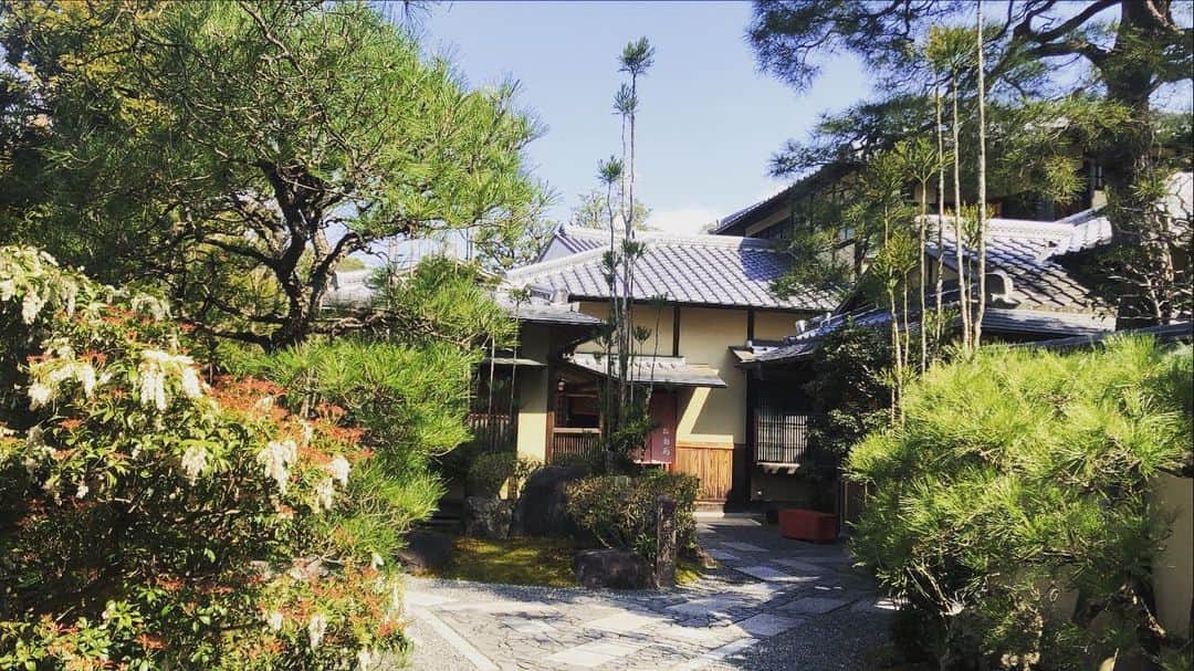 桜鶴苑のグルメインスタ